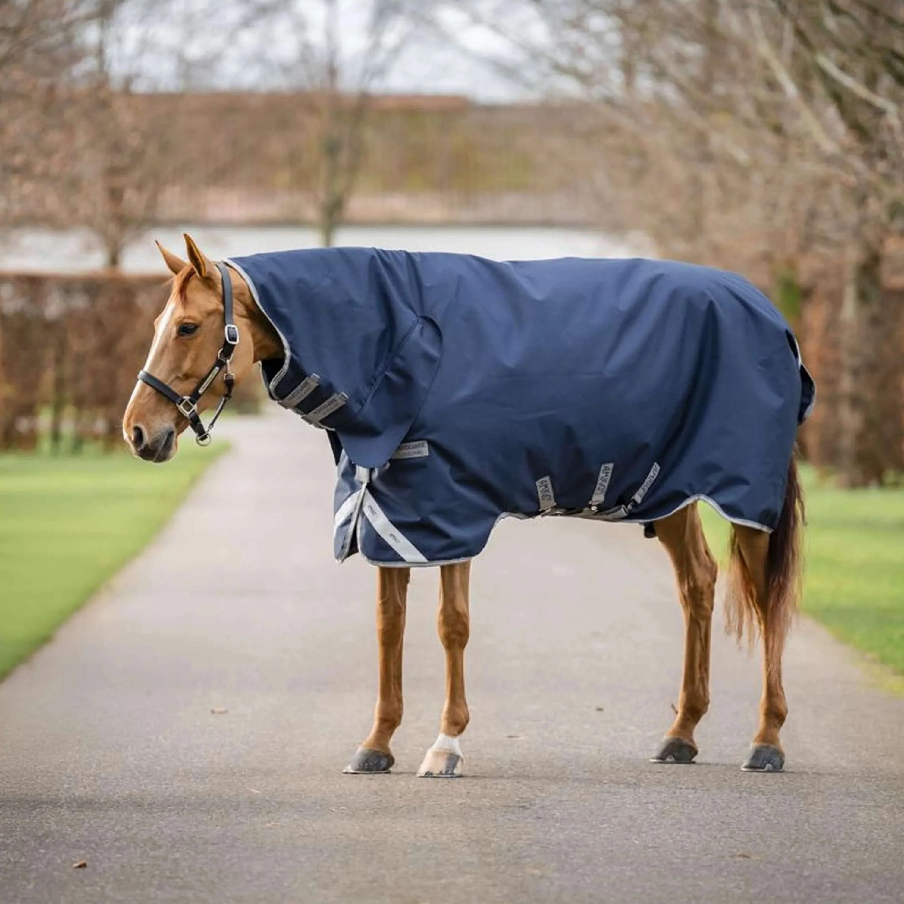 Amigo Turnout Rug Integrated 1200D 150g Navy/Titanium Grey/Silver - Image 3