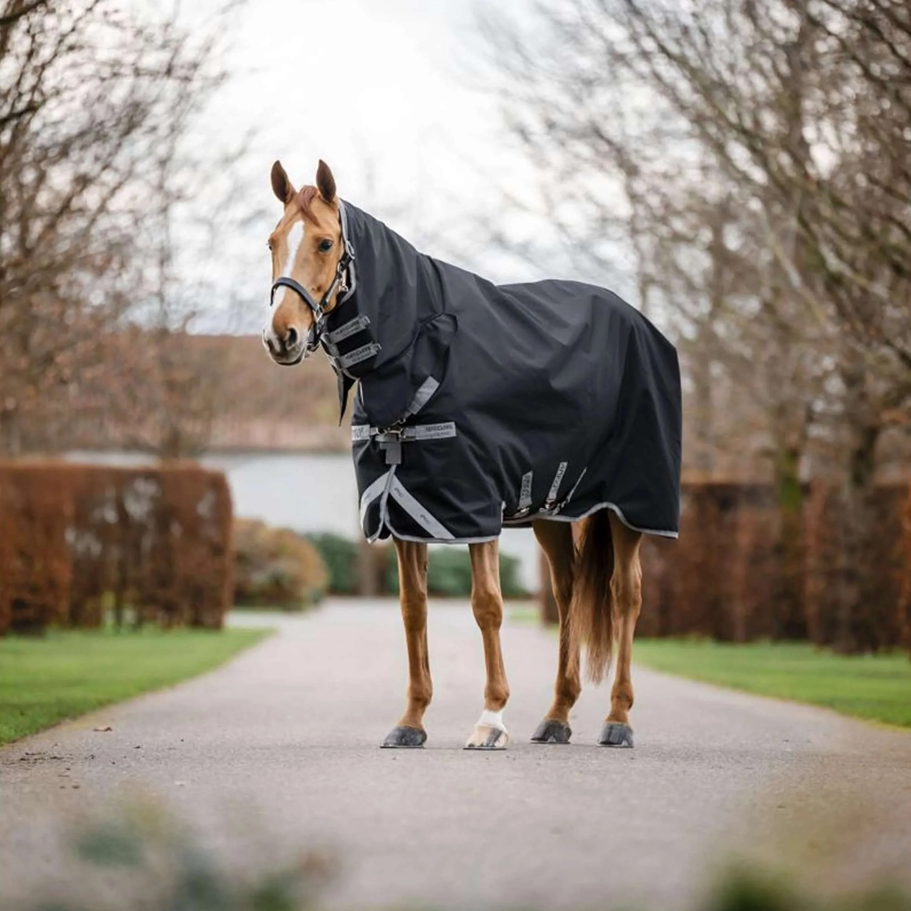 Amigo Turnout Rug Integrated 1200D 250g Black/Titanium Grey/Silver - Image 3
