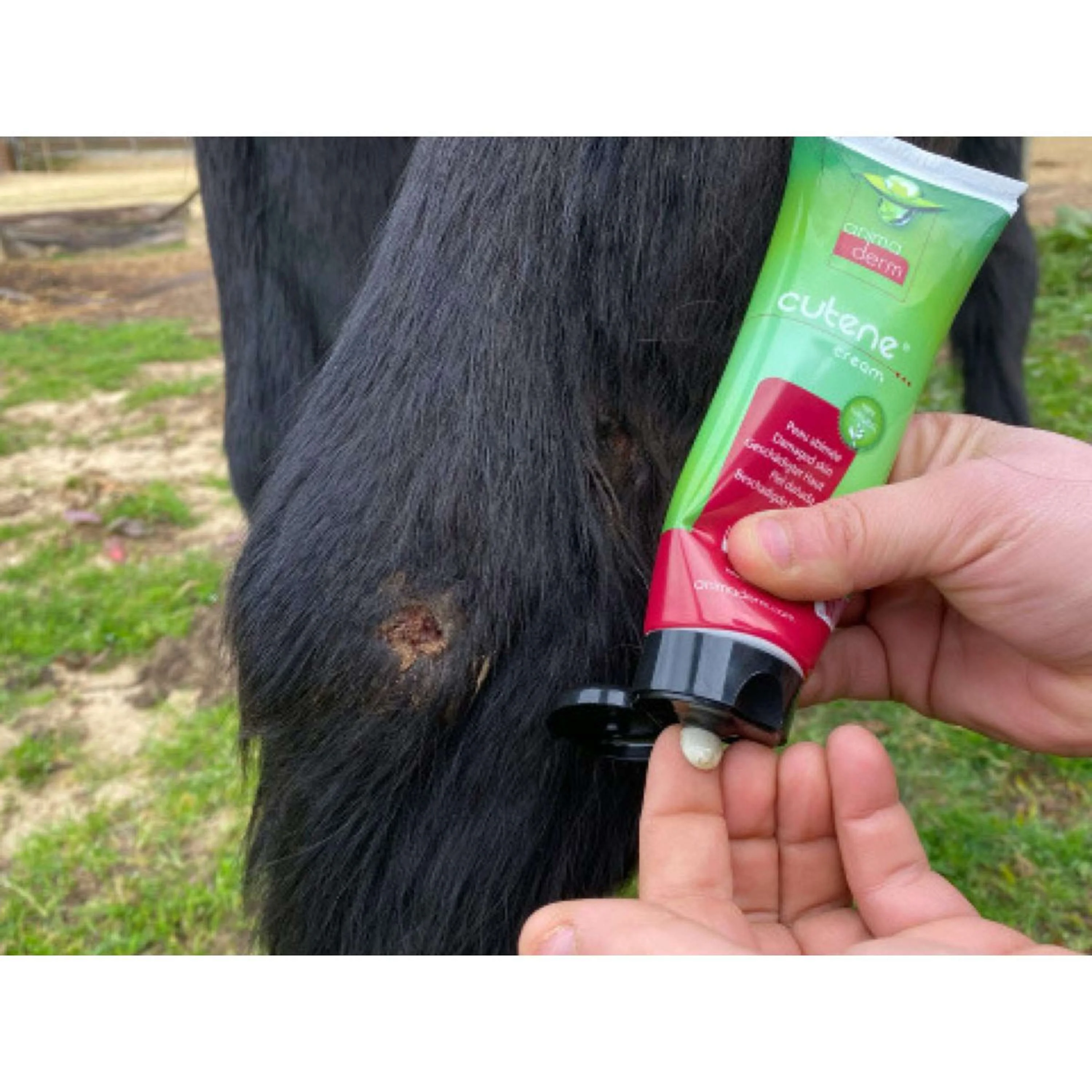 Animaderm Crème de Soin Cutene - Image 6