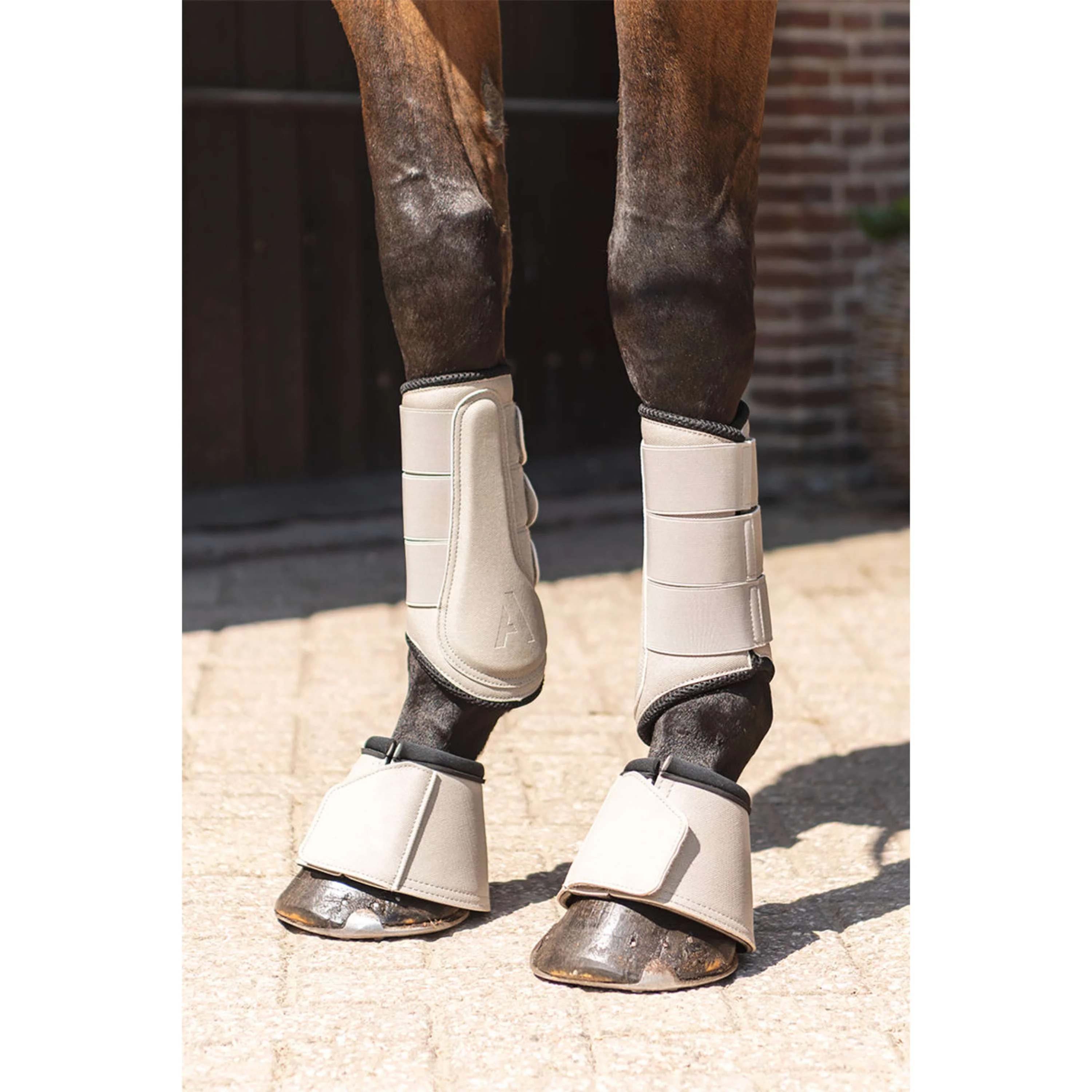ANKY Cloches d'Obstacles Bell ATB261003 Island Fossil - Image 2