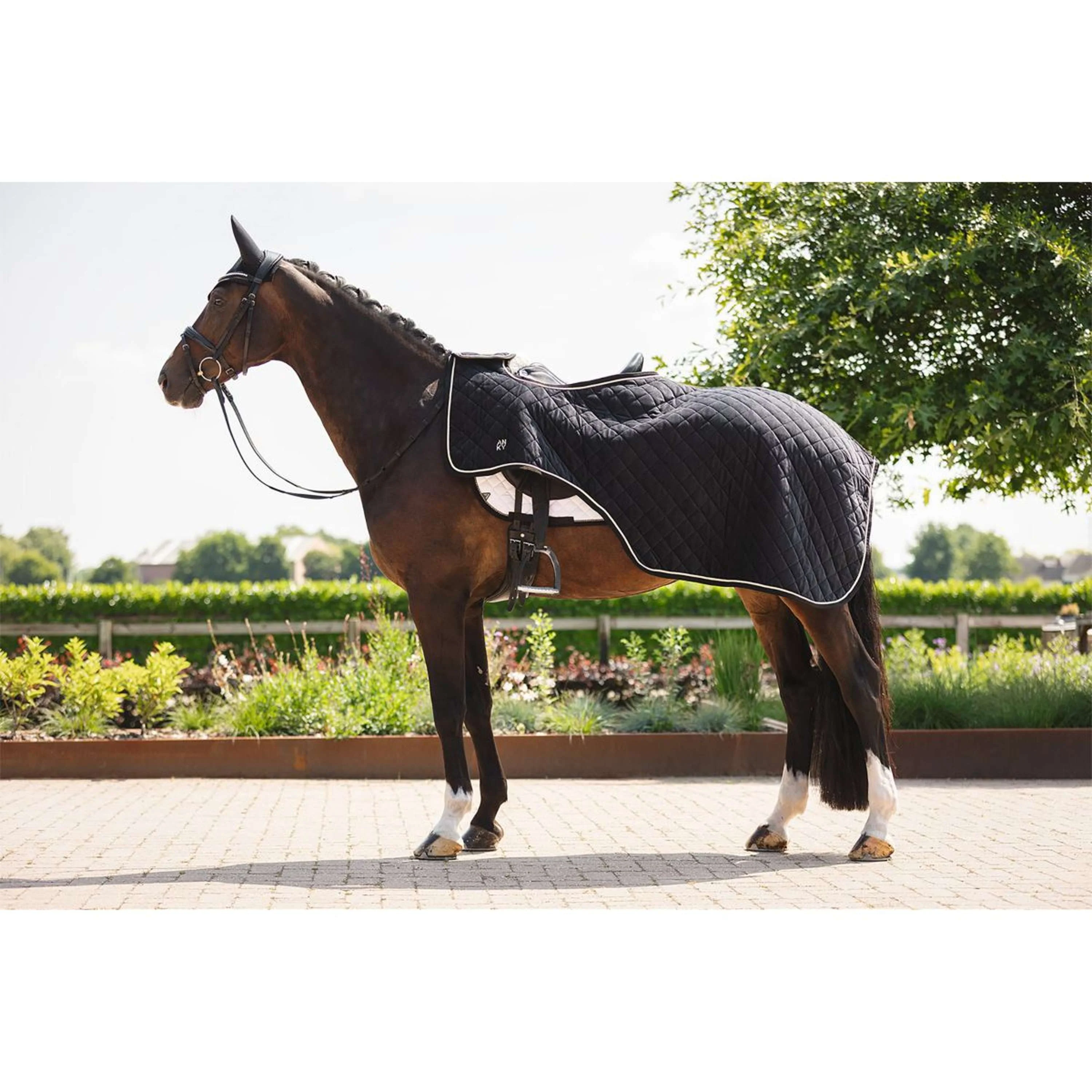 ANKY Couvre-reins ATB25011 Noir - Image 2