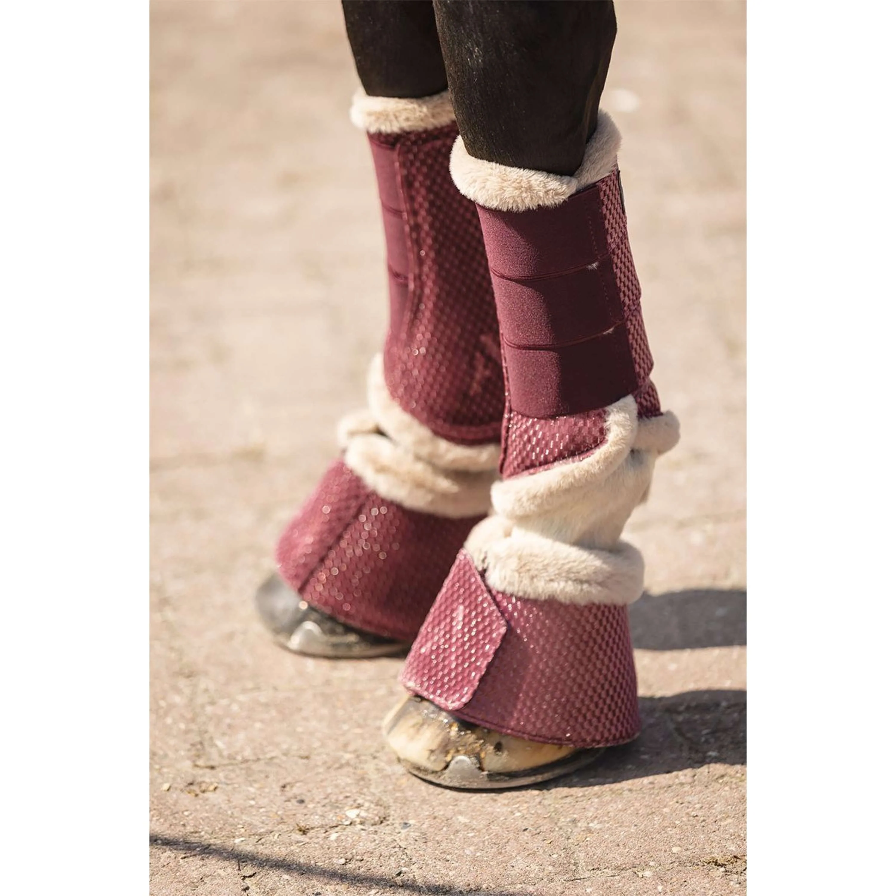 ANKY Dressage Boots Check Velvet ATB25005 Mellow Mauve - Image 4
