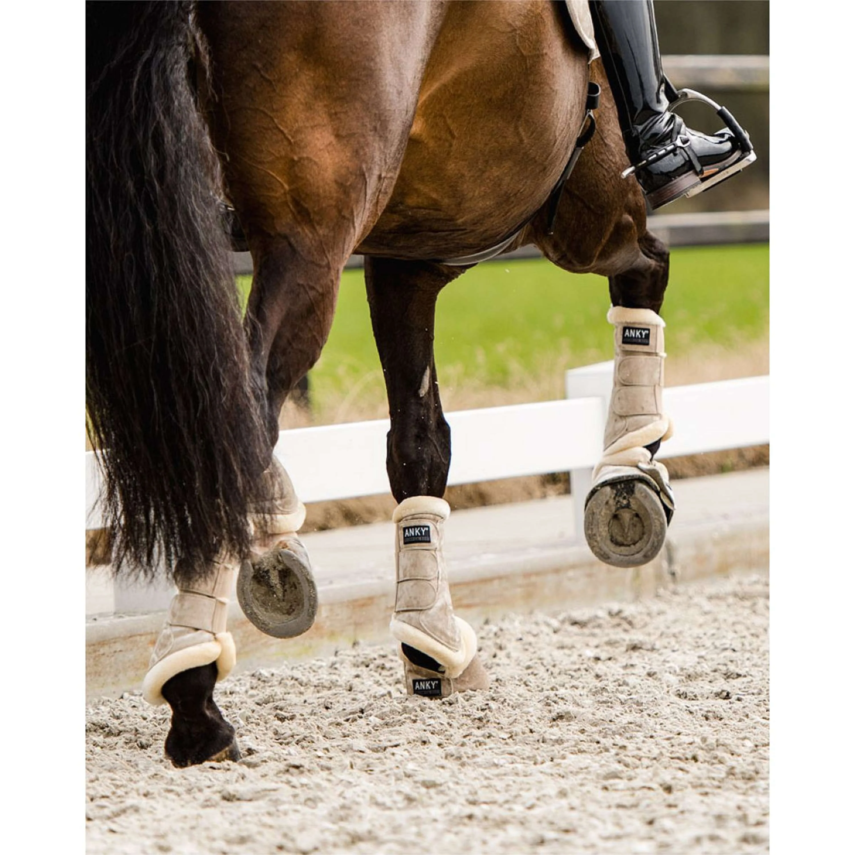ANKY Dressage Boots Jubilee Glamour Beige - Image 4