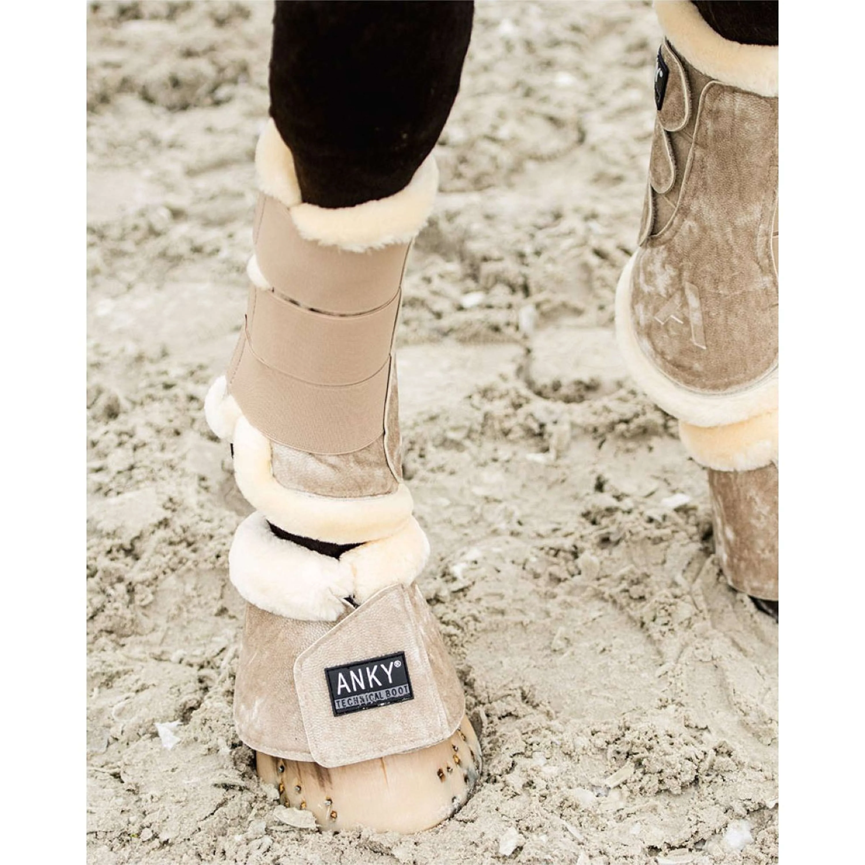 ANKY Dressage Boots Jubilee Glamour Beige - Image 5