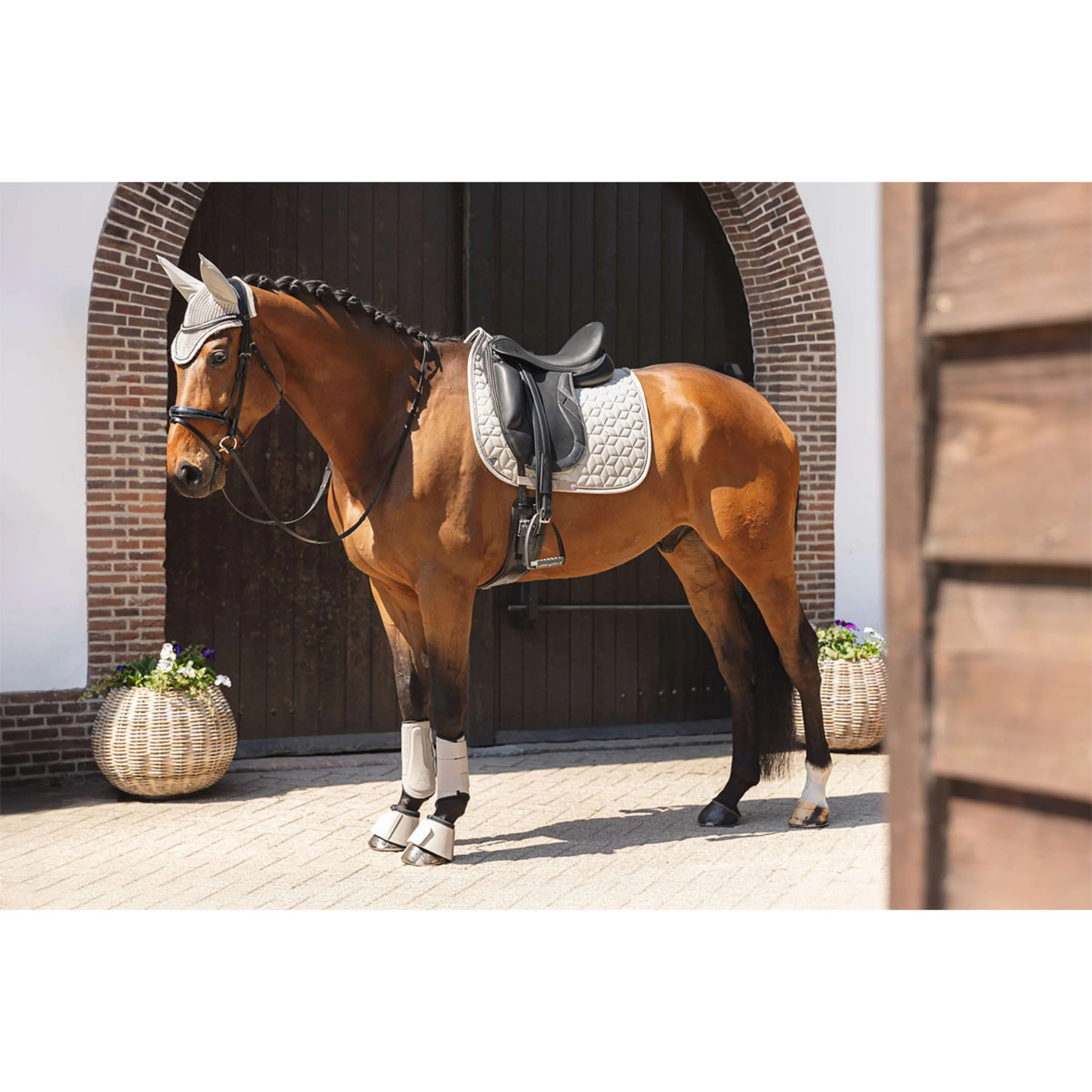 ANKY Dressage Boots Proficient ATB261001 Island Fossil - Image 8