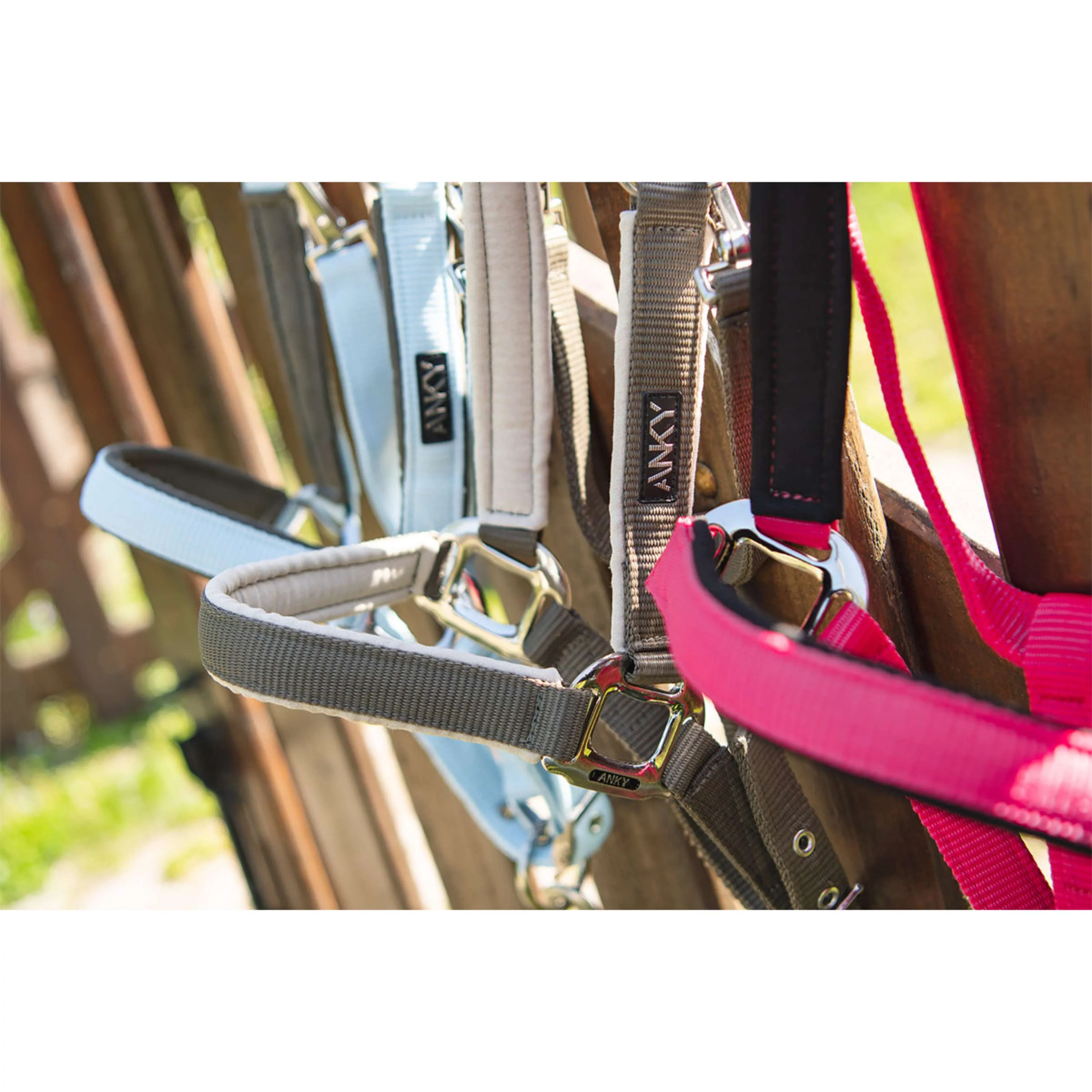 ANKY Ensemble Licol ATH261001 Bungee Cord - Image 2