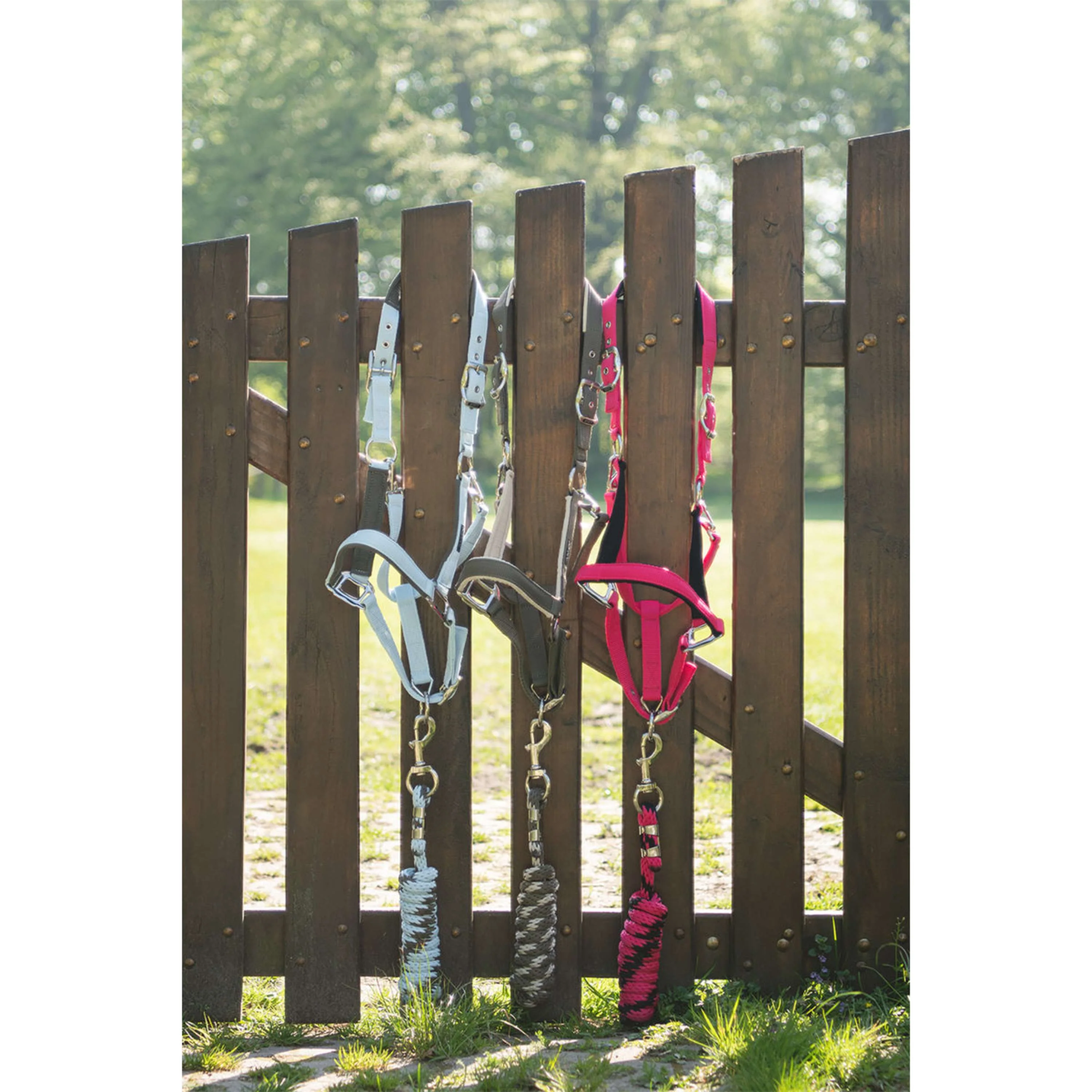 ANKY Ensemble Licol ATH261001 Bungee Cord - Image 3