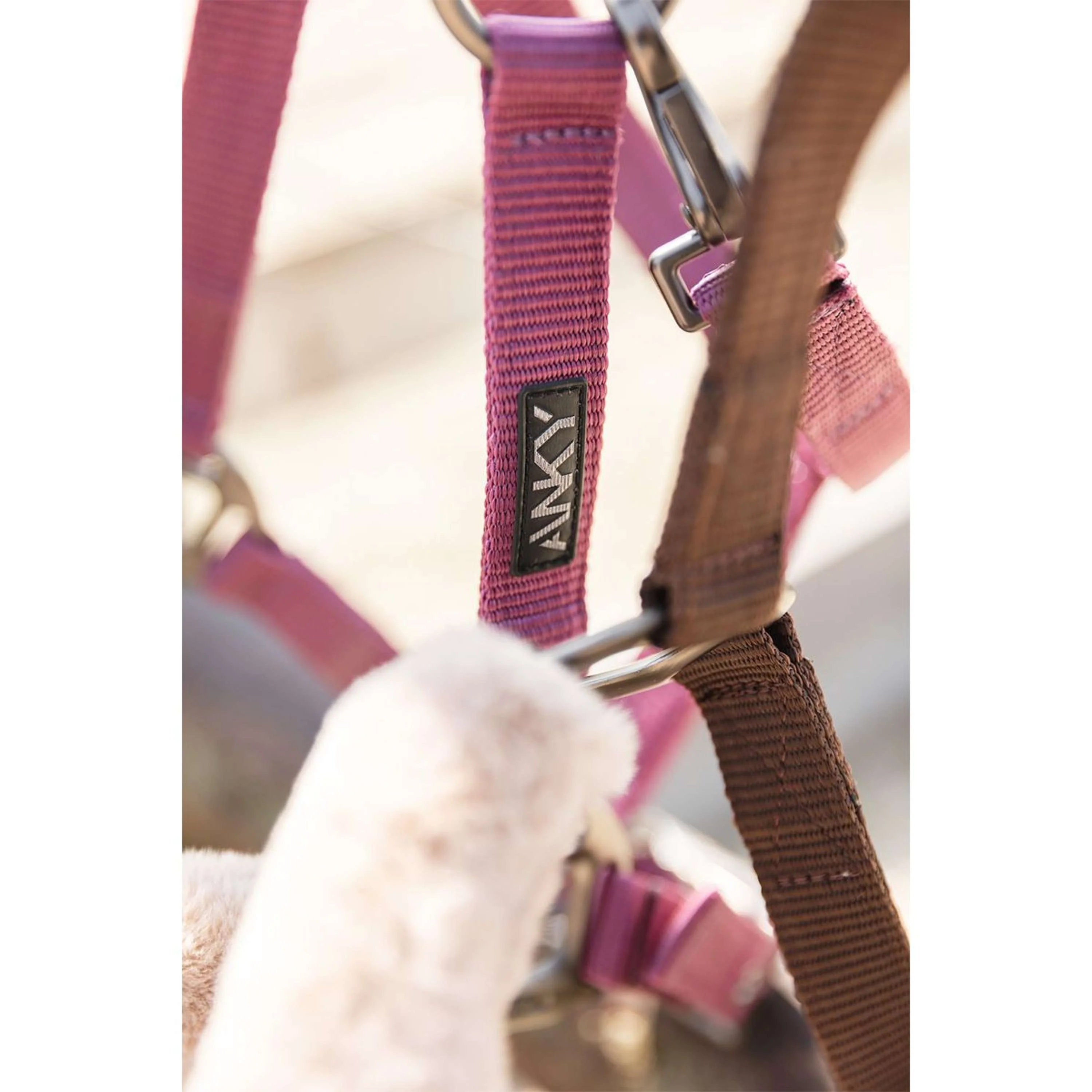 ANKY Ensemble Licol Check Velvet ATH25002 Mellow Mauve - Image 3