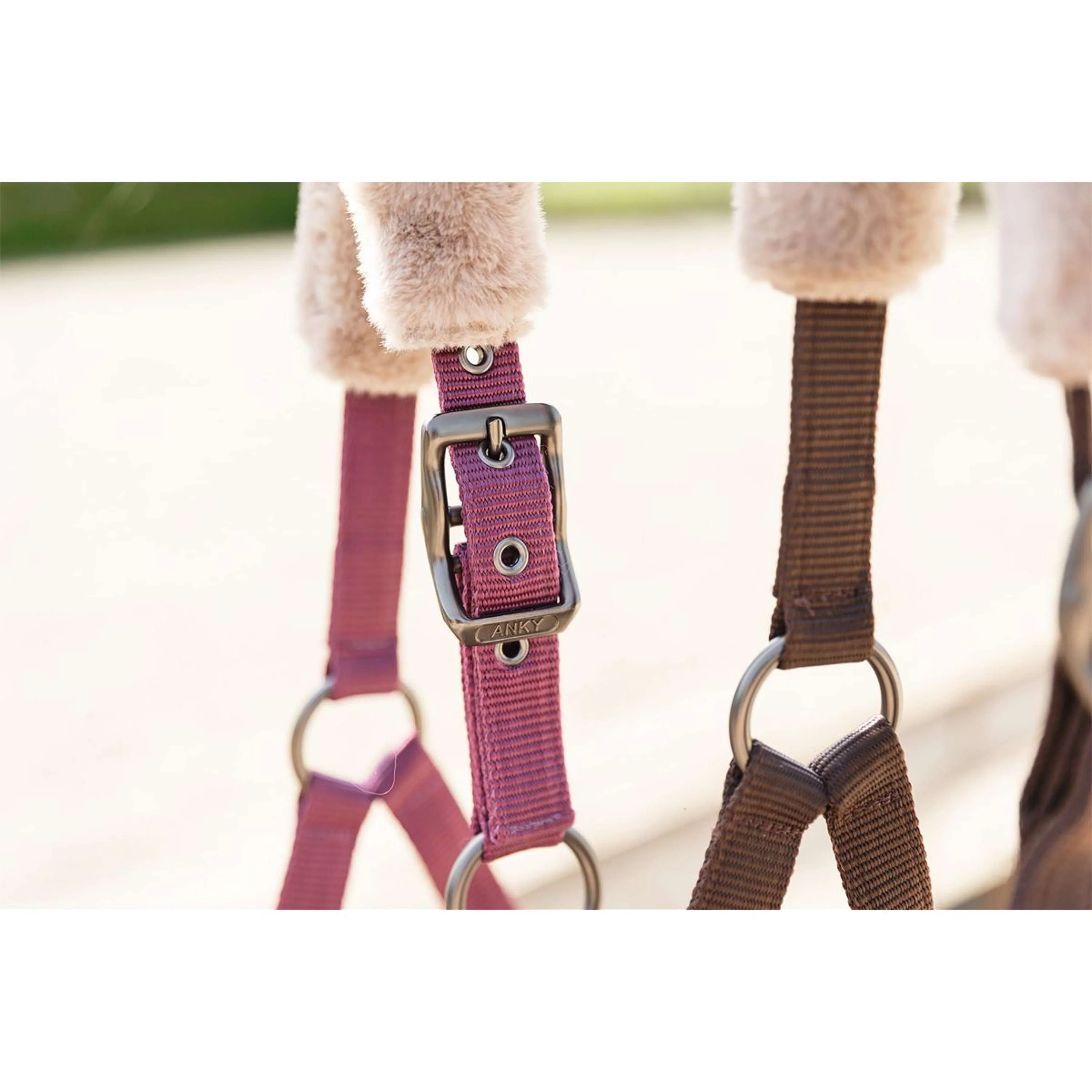 ANKY Ensemble Licol Check Velvet ATH25002 Mellow Mauve - Image 4