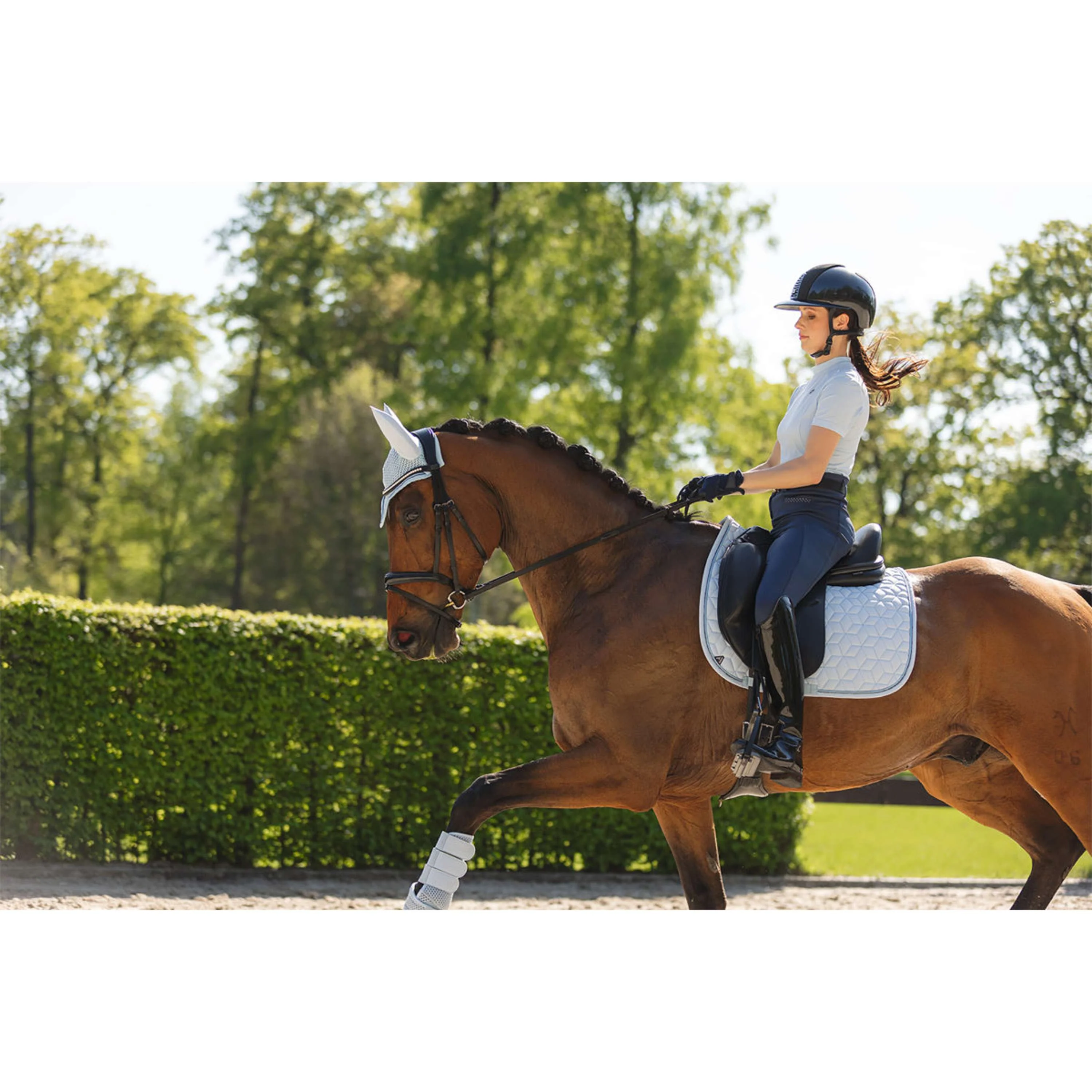 ANKY Pantalon d'Ã‰quitation Lucidity XR261102 Full Grip Mood Indigo - Image 7