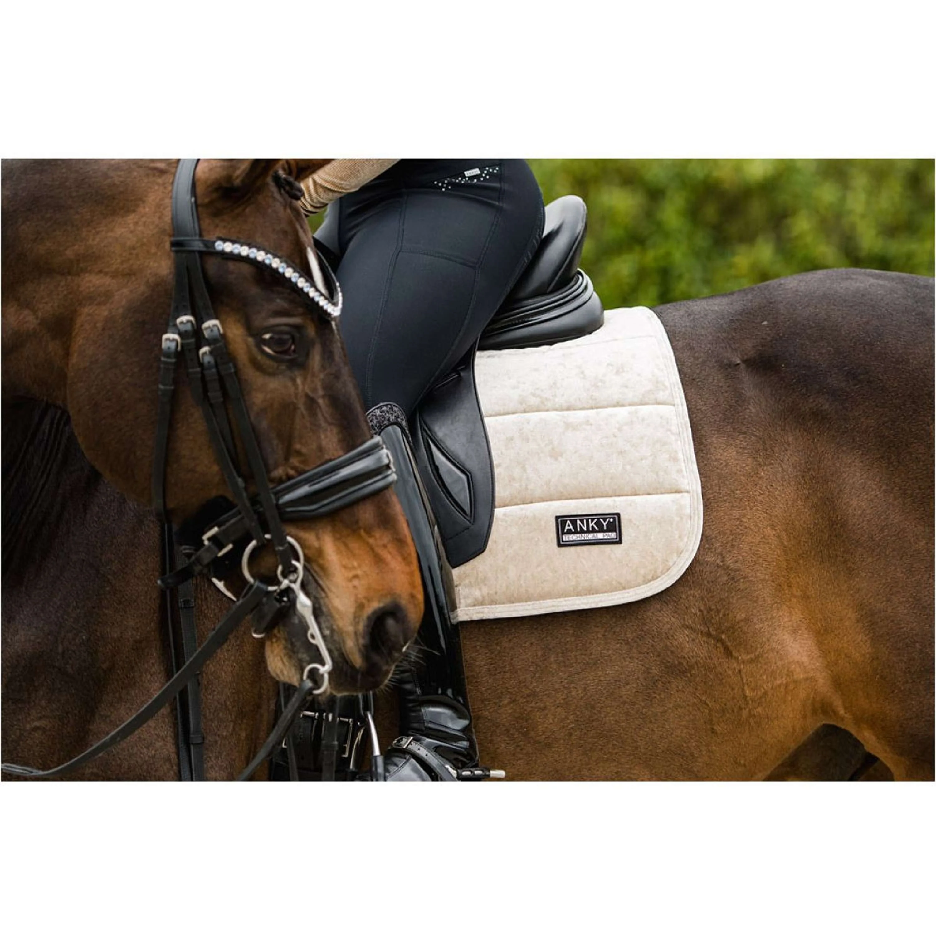 ANKY Tapis de Selle Jubilee Dressage Glamour Beige - Image 4