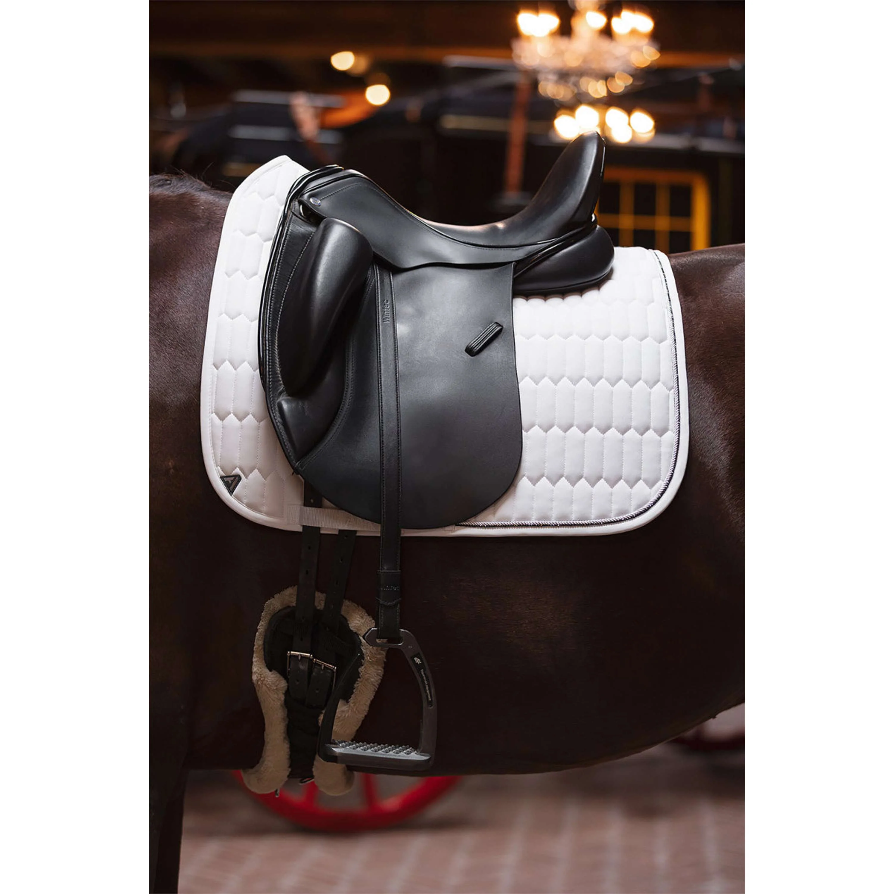 ANKY Tapis de Selle Perception C-Wear Dressage Blanc - Image 2