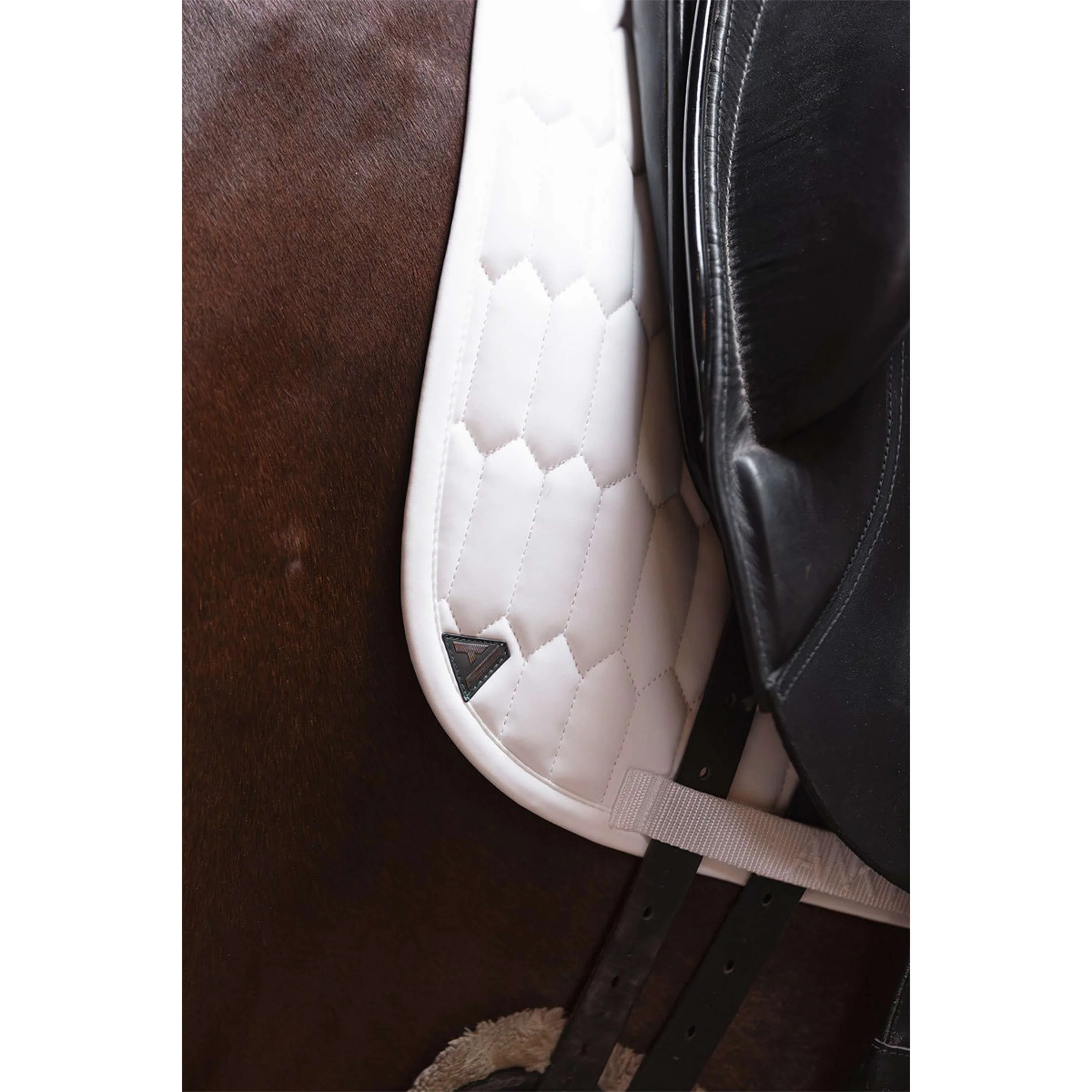 ANKY Tapis de Selle Perception C-Wear Dressage Blanc - Image 3