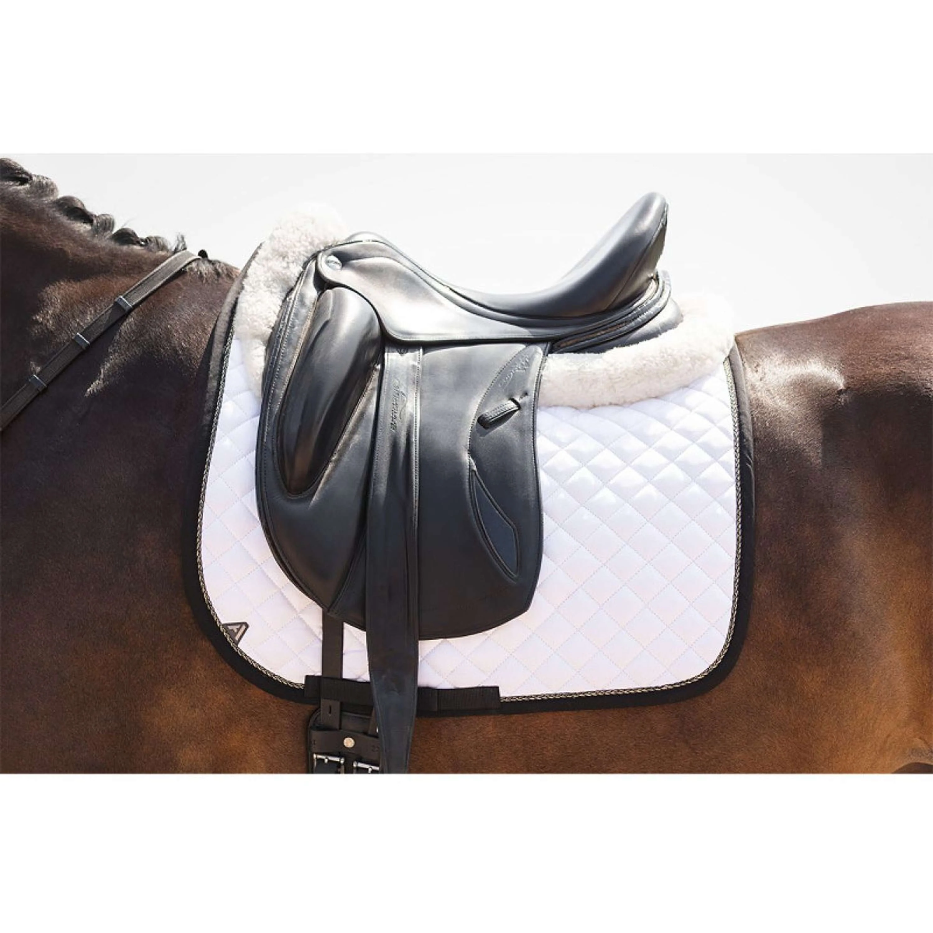 ANKY Tapis de Selle Presence XB25005 Dressage Blanc/Noir - Image 6