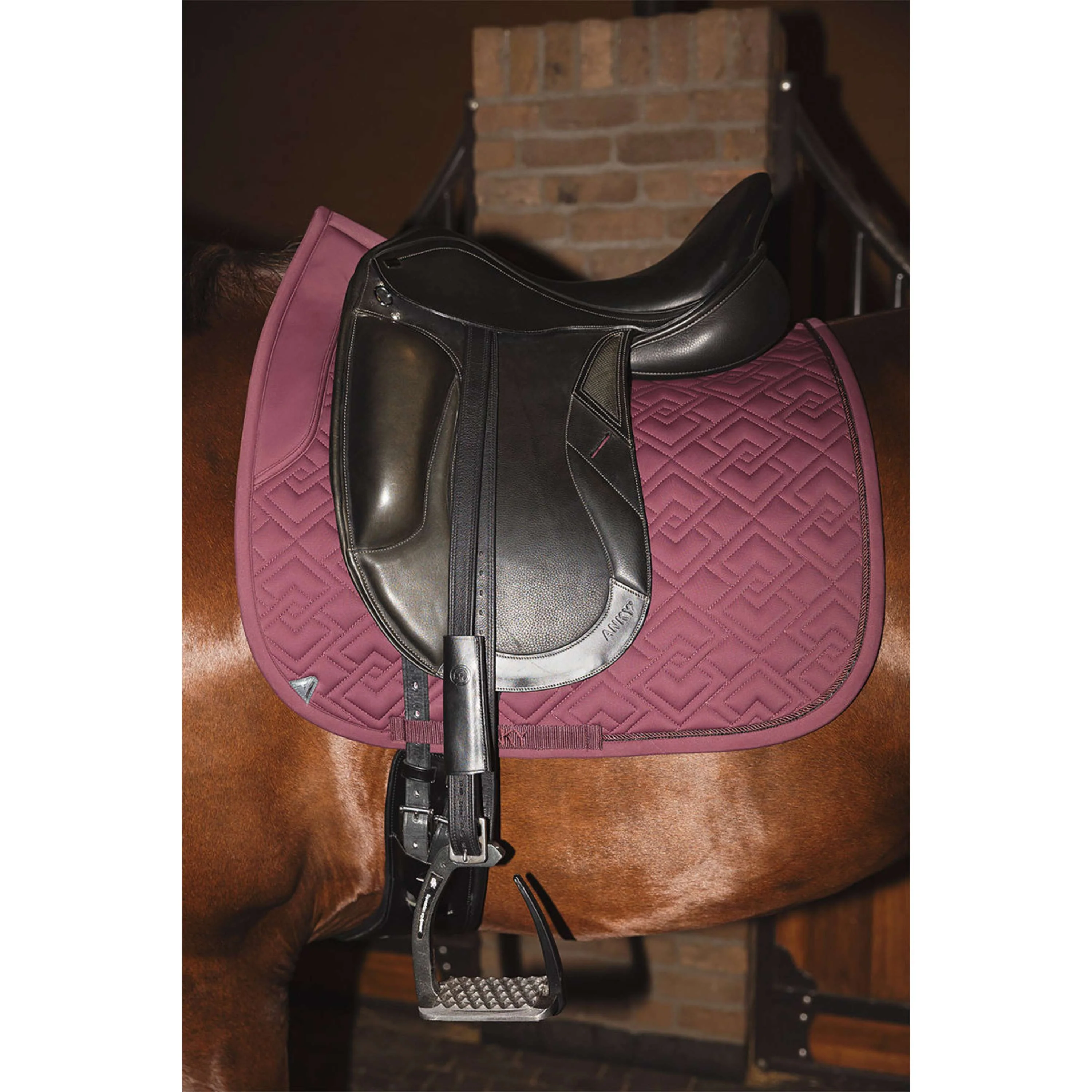 ANKY Tapis de Selle Professional XB25001 3C Dressage Sassafras - Image 2