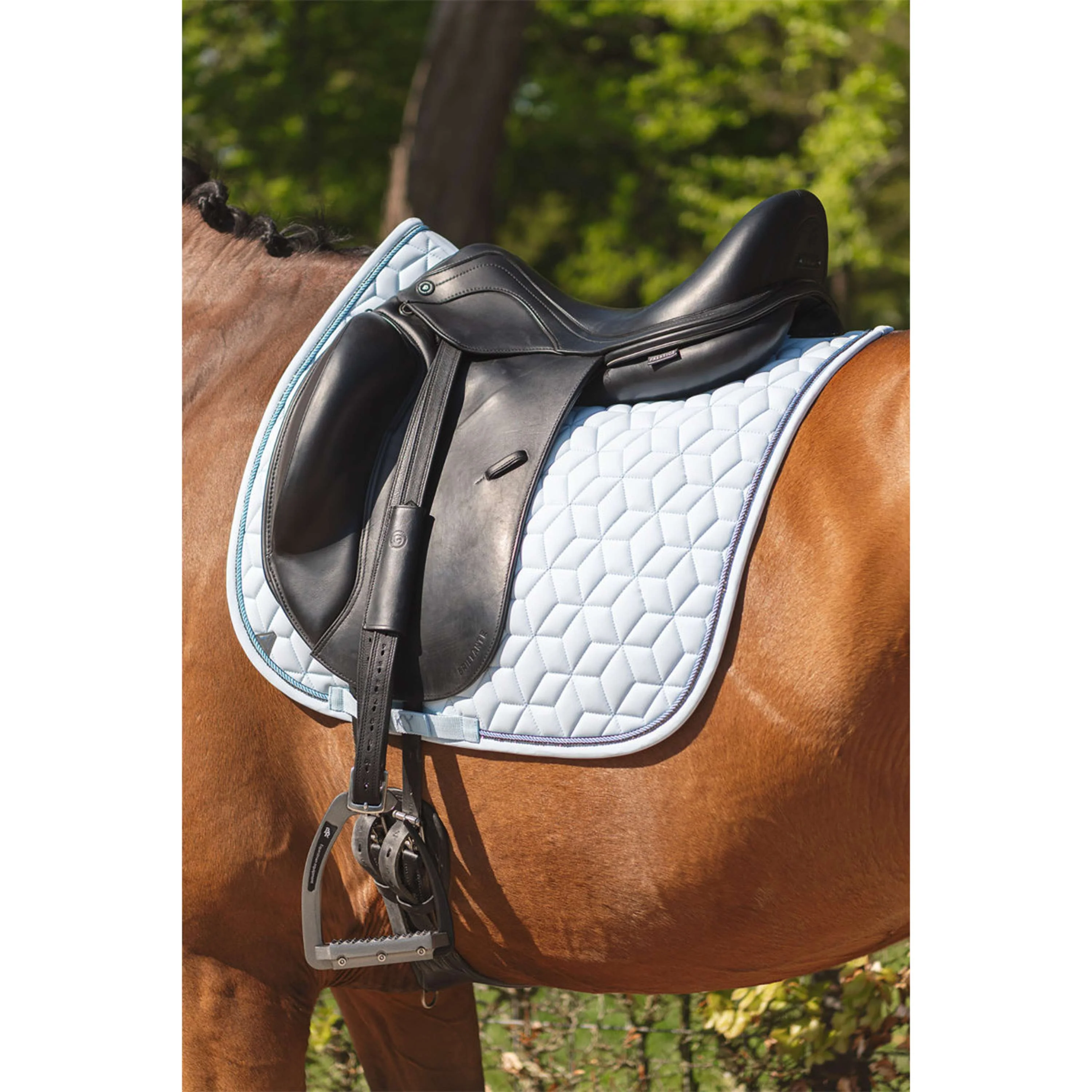ANKY Tapis de Selle Vivacity XB261111 Dressage Nantucket Breeze - Image 2