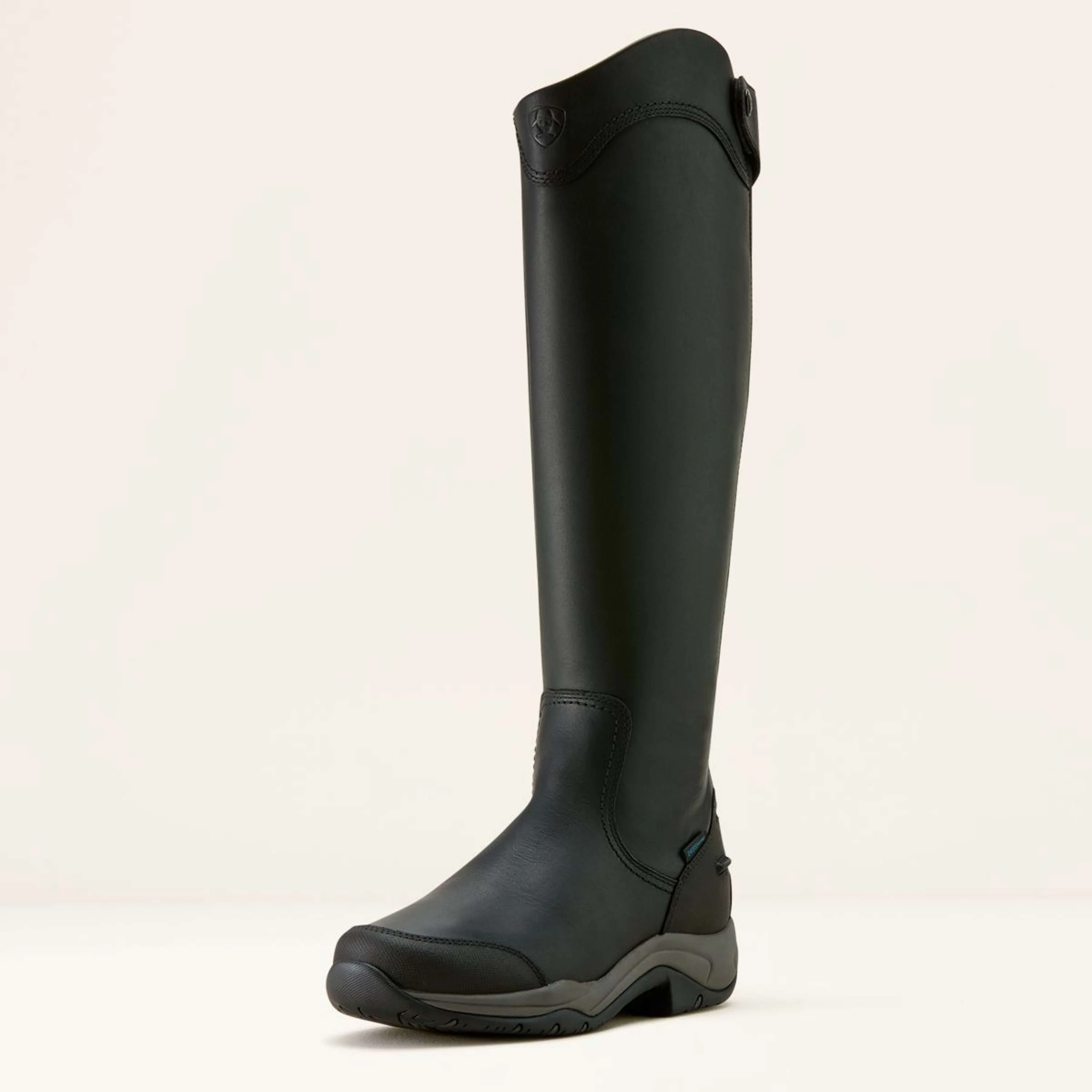 Ariat Bottes d'Équitation Telluride Tall H2O Noir - Image 3