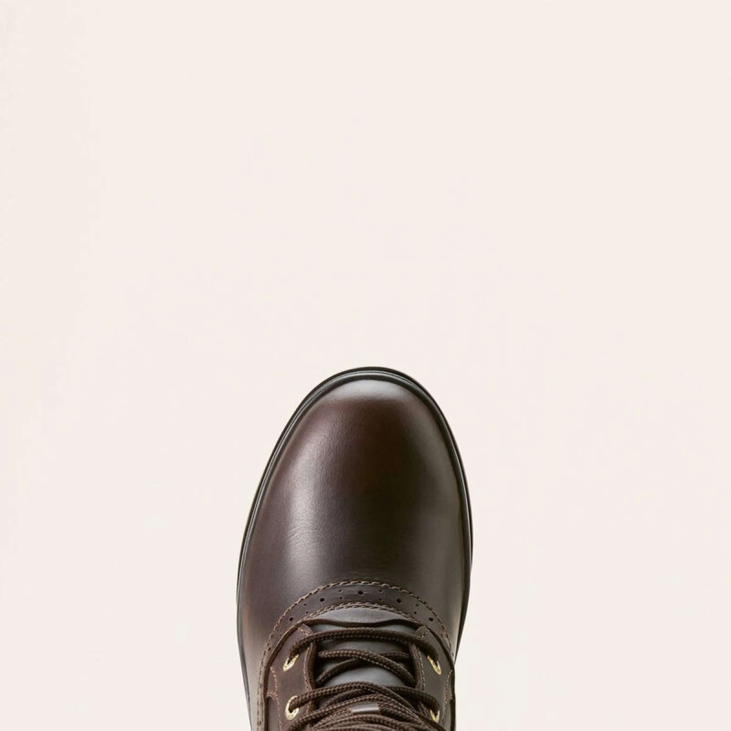 Ariat Bottes d'Extérieur Wythburn II Sherpa Waterproof Femme Dark Mocha - Image 4