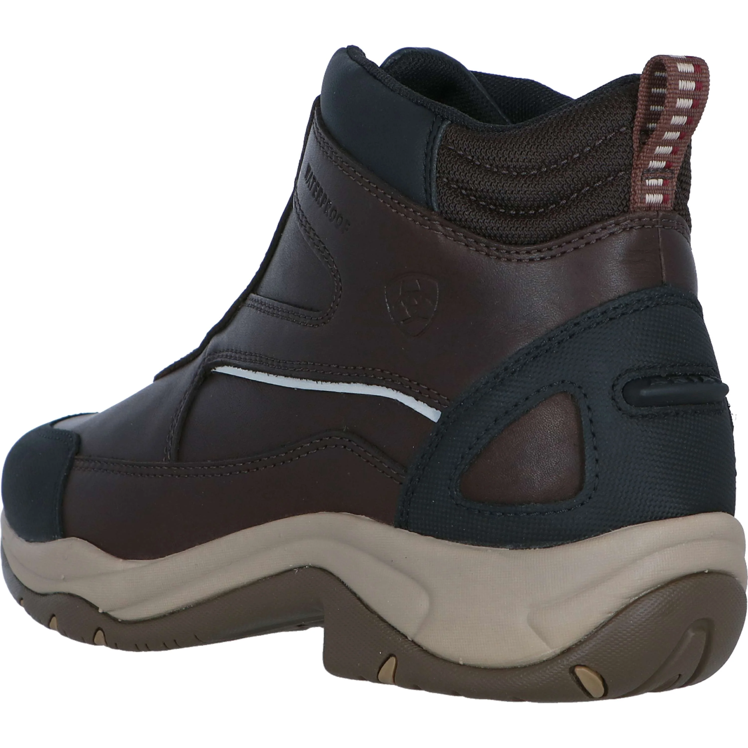 Ariat Chaussure d'Écurie Telluride Zip H2O Femme Marron foncé - Image 3