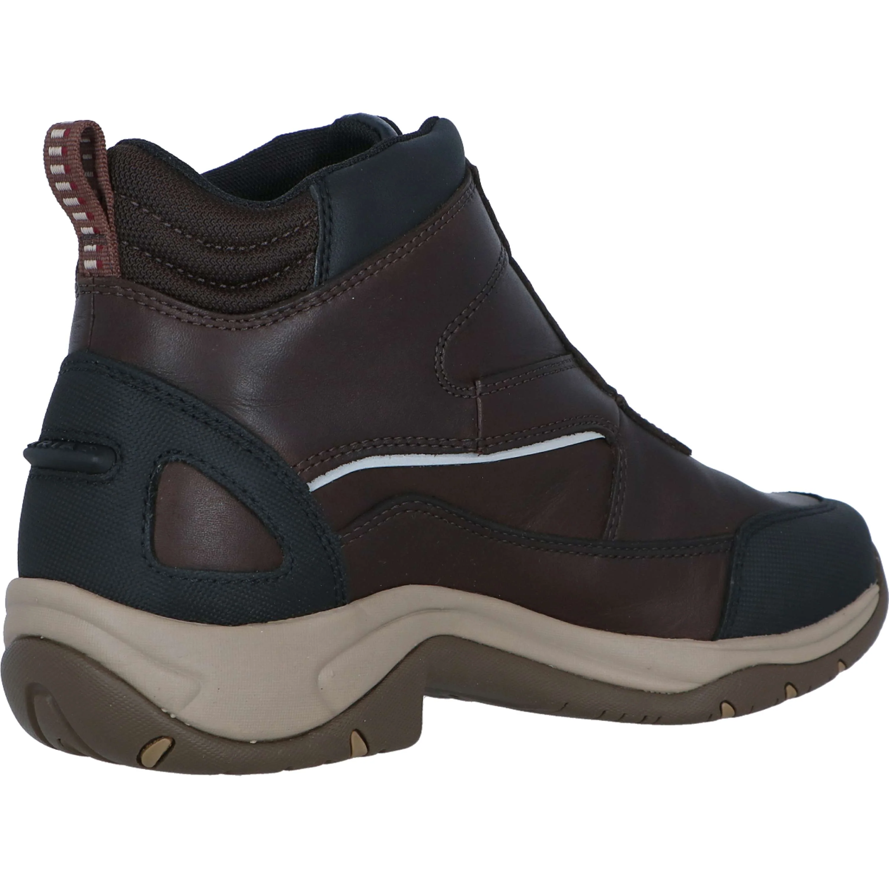Ariat Chaussure d'Écurie Telluride Zip H2O Femme Marron foncé - Image 5