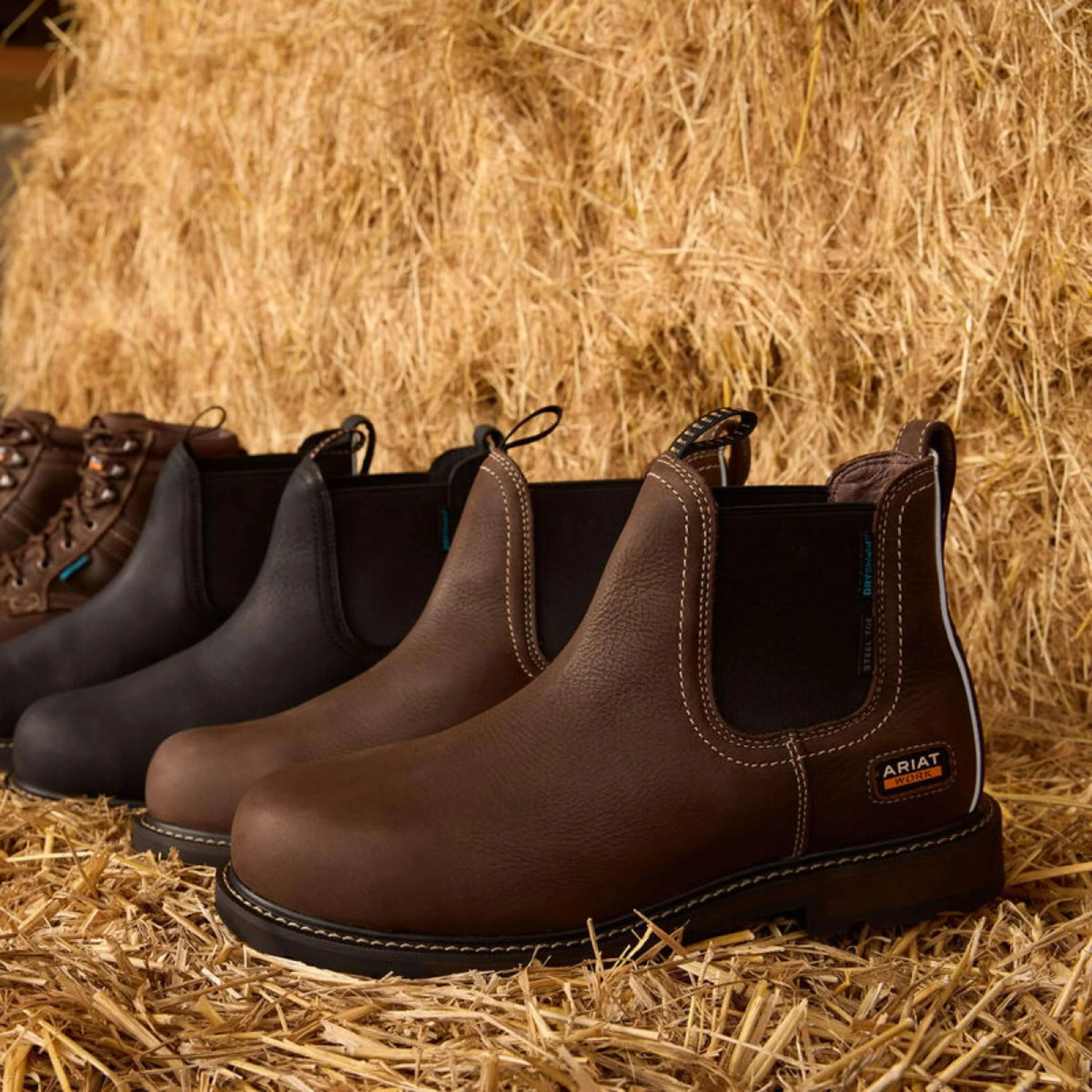 Ariat Jodhpurs Groundbreaker Chelsea Waterproof Steel Toe Hommes Marron - Image 6