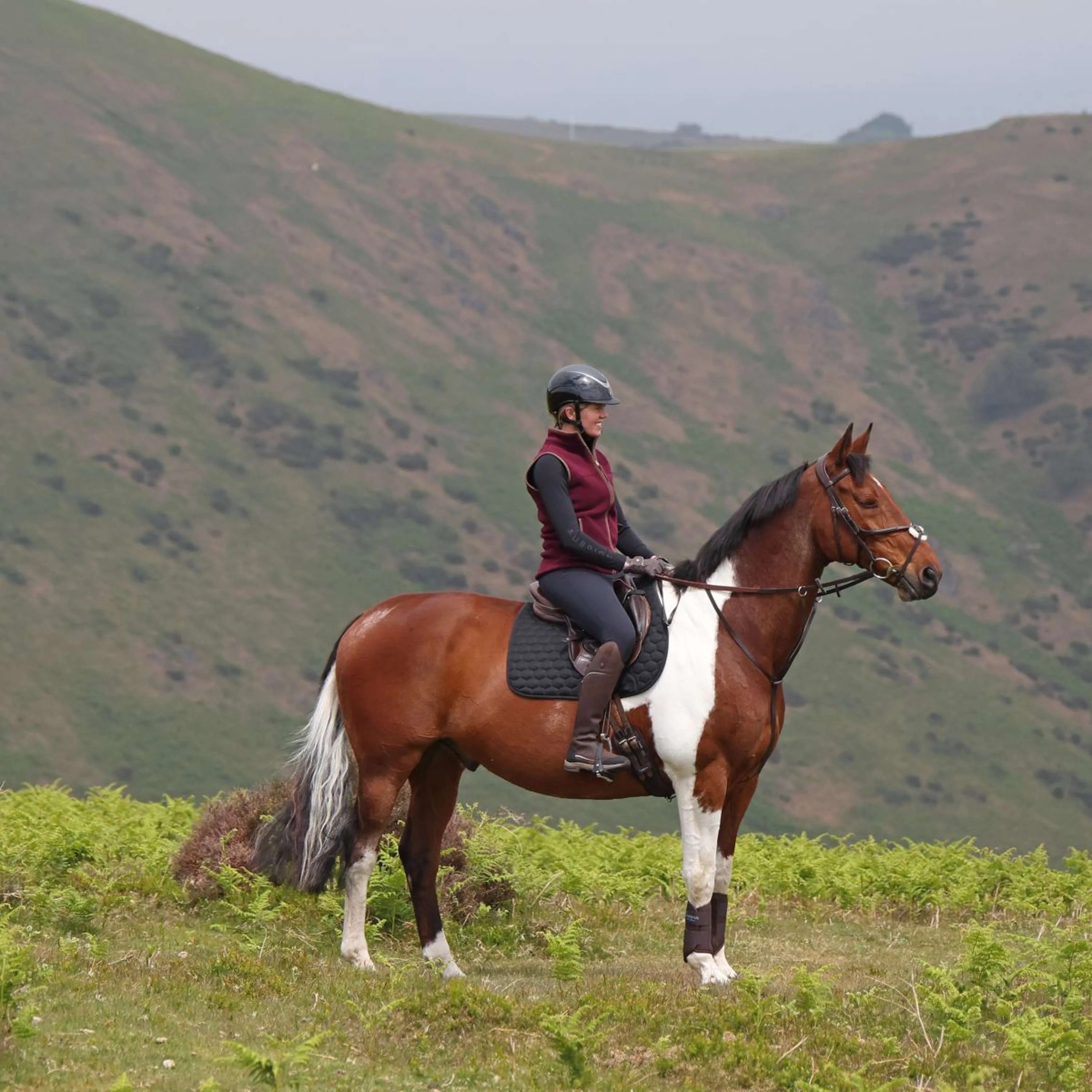 Aubrion by Shires Bodychauffant Original Fleece Maroon Red - Image 15