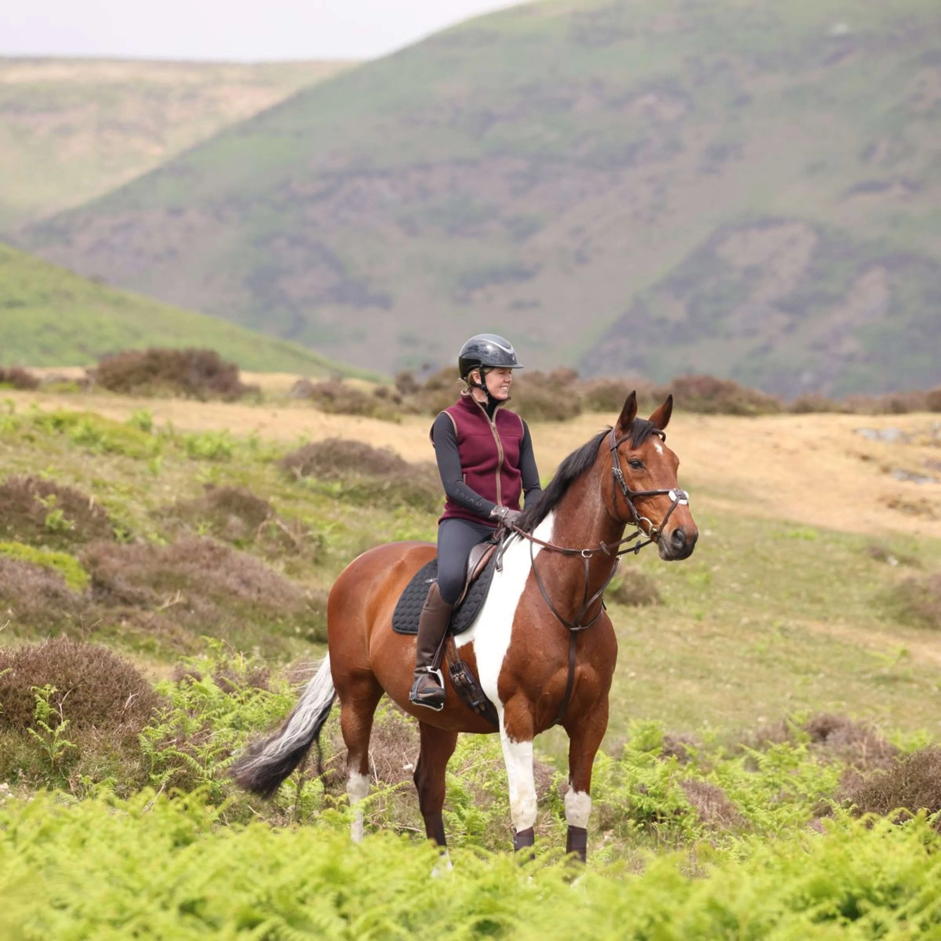 Aubrion by Shires Bodychauffant Original Fleece Maroon Red - Image 16