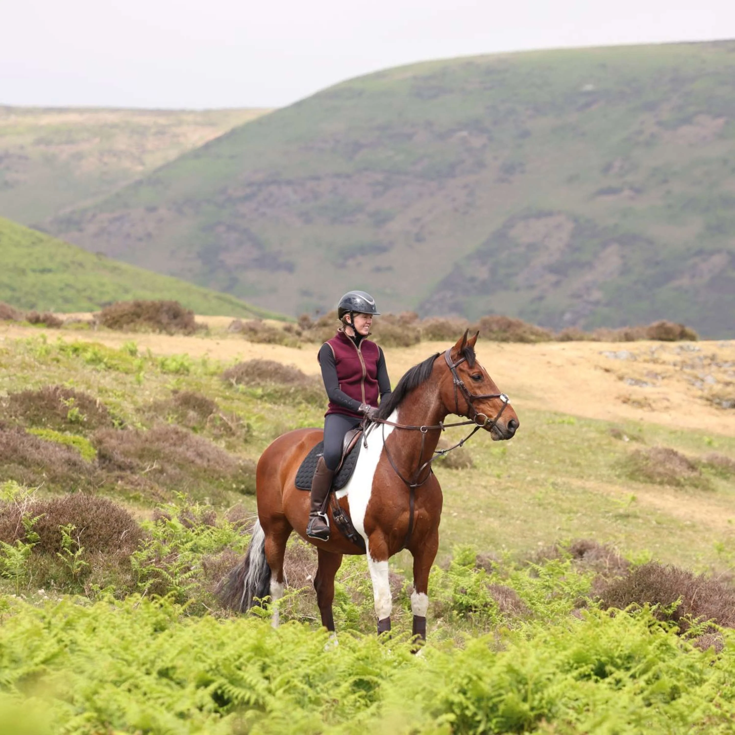Aubrion by Shires Bodychauffant Original Fleece Maroon Red - Image 17