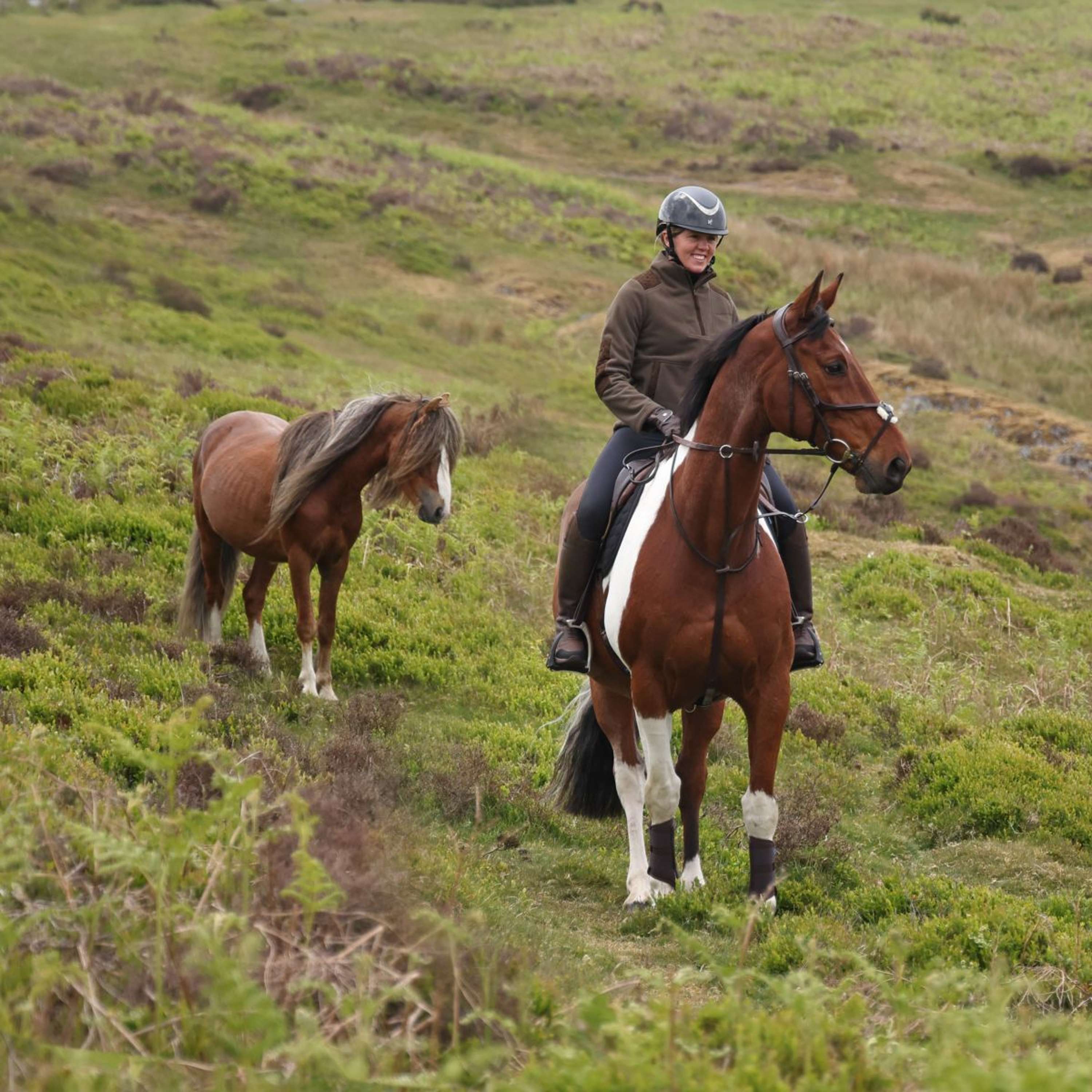 Aubrion by Shires Pull Heritage Fleece Olive foncé - Image 6