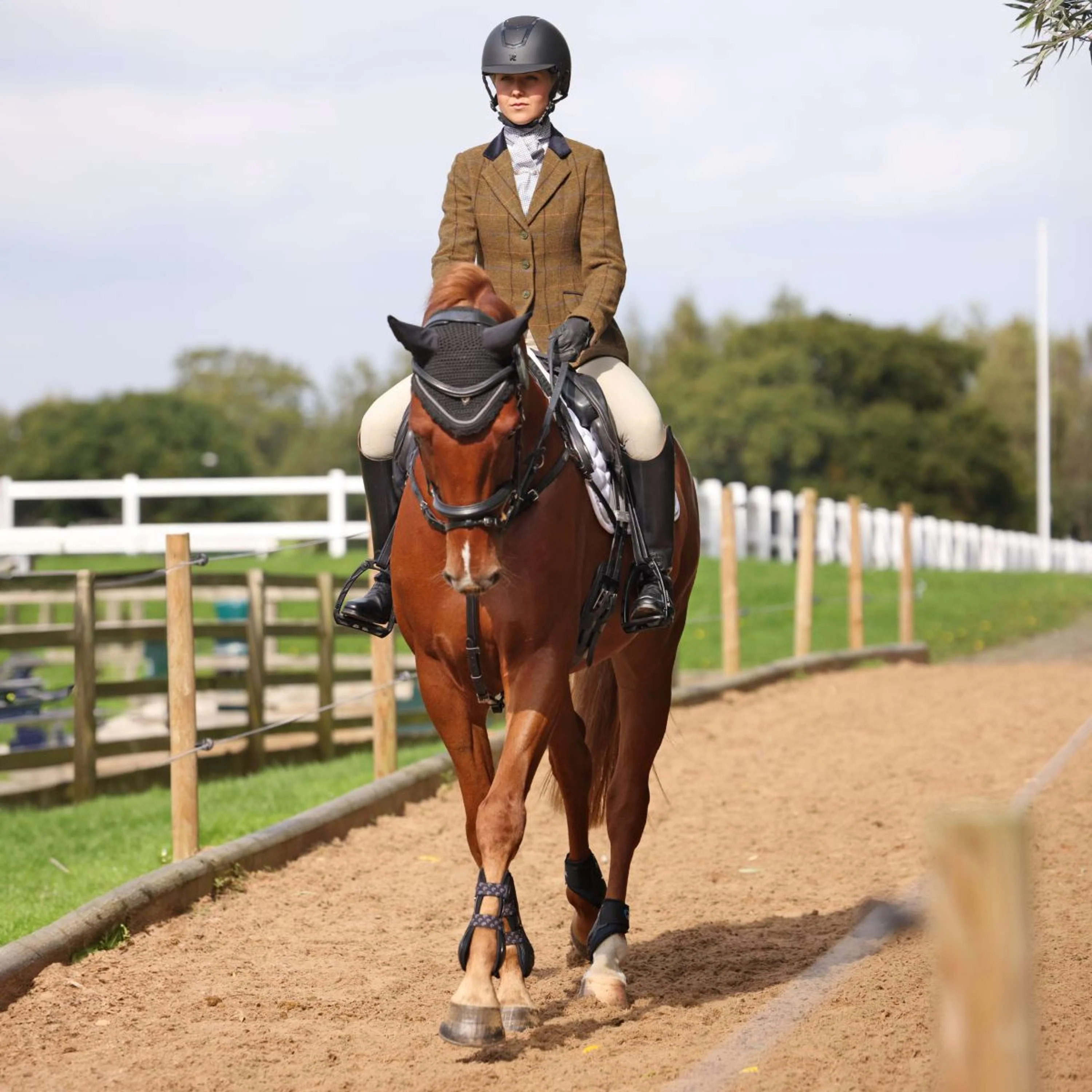 Aubrion by Shires Veste de Concours Saratoga Chêne Brun Check - Image 3