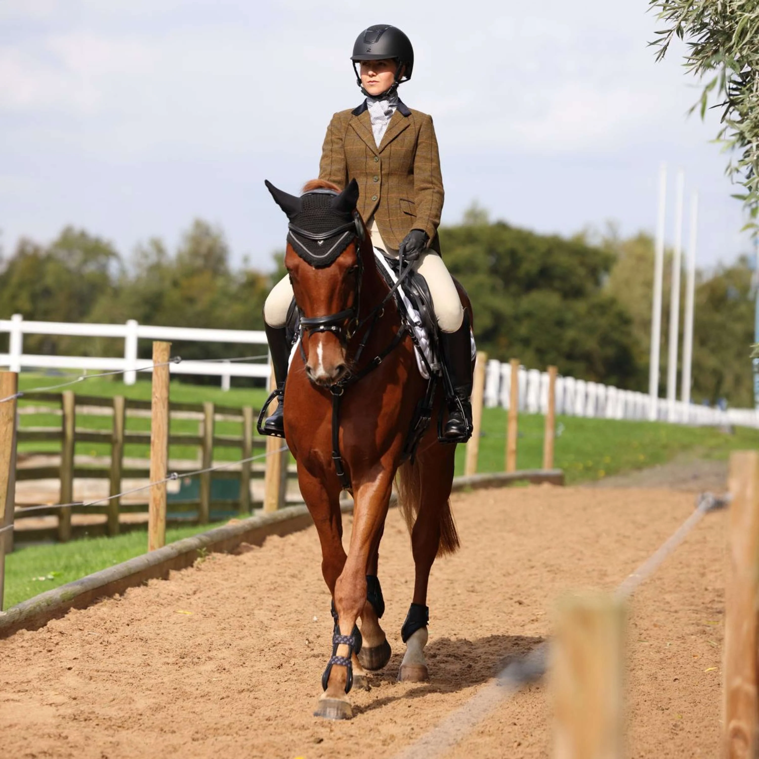 Aubrion by Shires Veste de Concours Saratoga Chêne Brun Check - Image 4