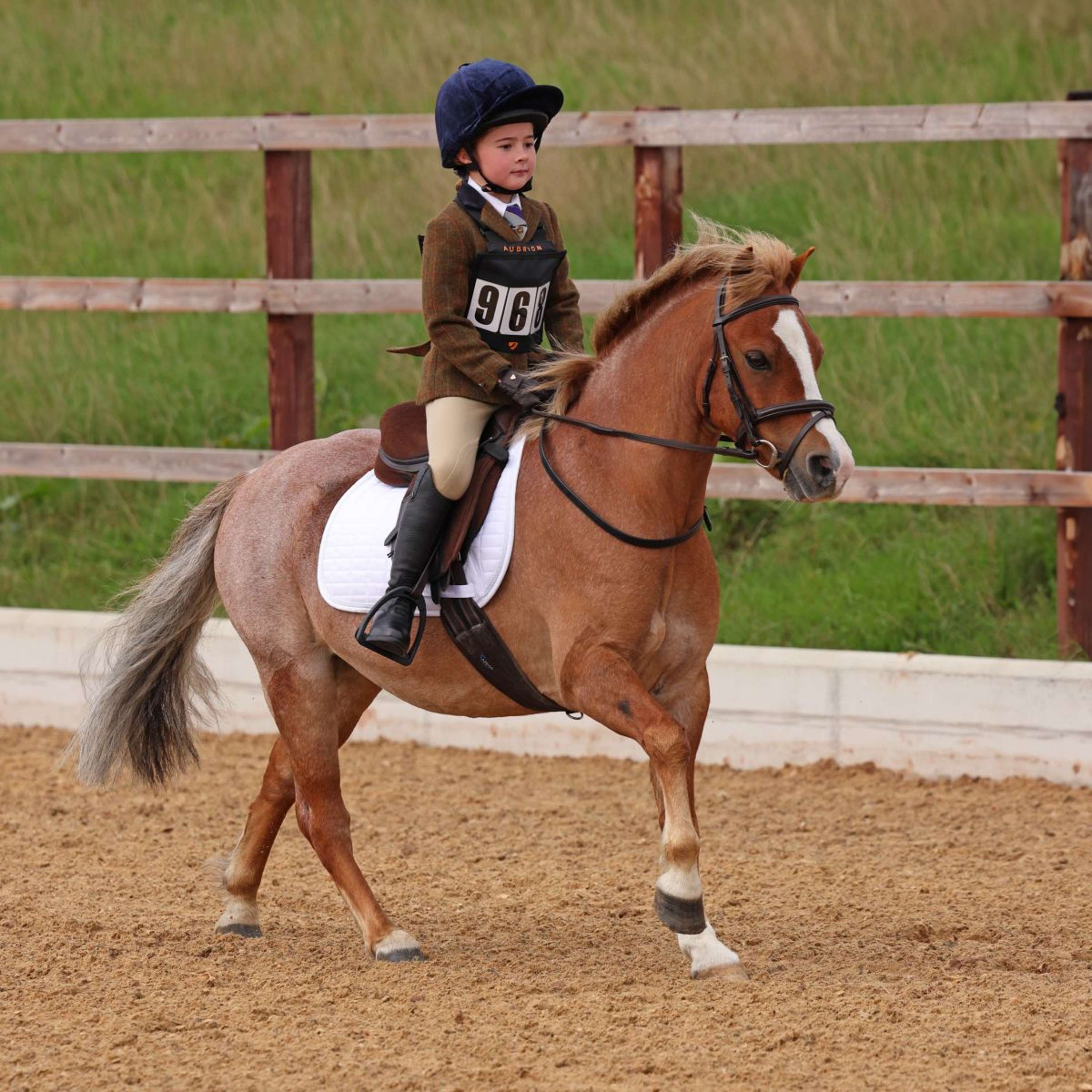 Aubrion by Shires Veste de Concours Saratoga Enfants Rouille Check - Image 16