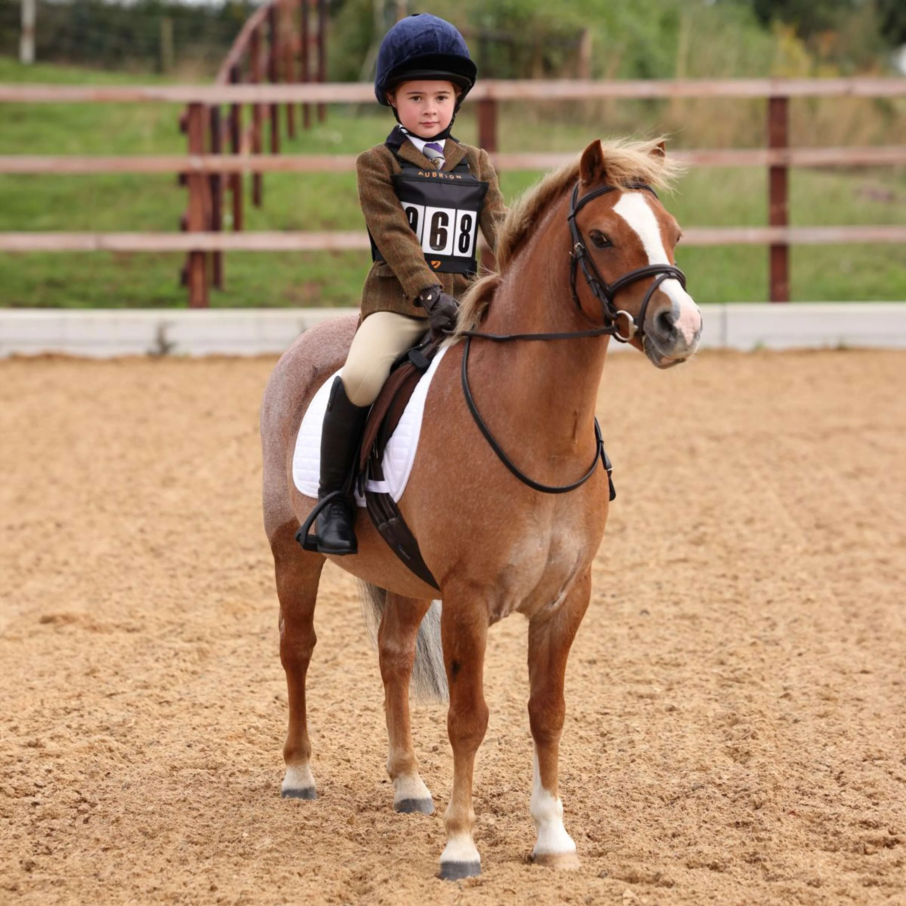 Aubrion by Shires Veste de Concours Saratoga Enfants Rouille Check - Image 2