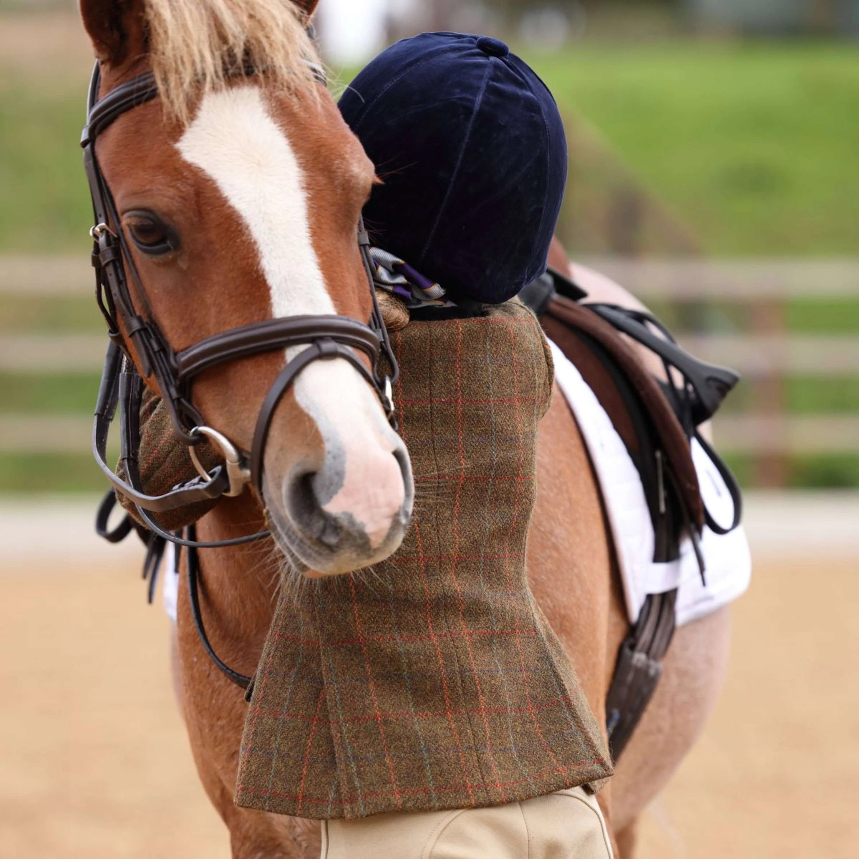 Aubrion by Shires Veste de Concours Saratoga Enfants Rouille Check - Image 8