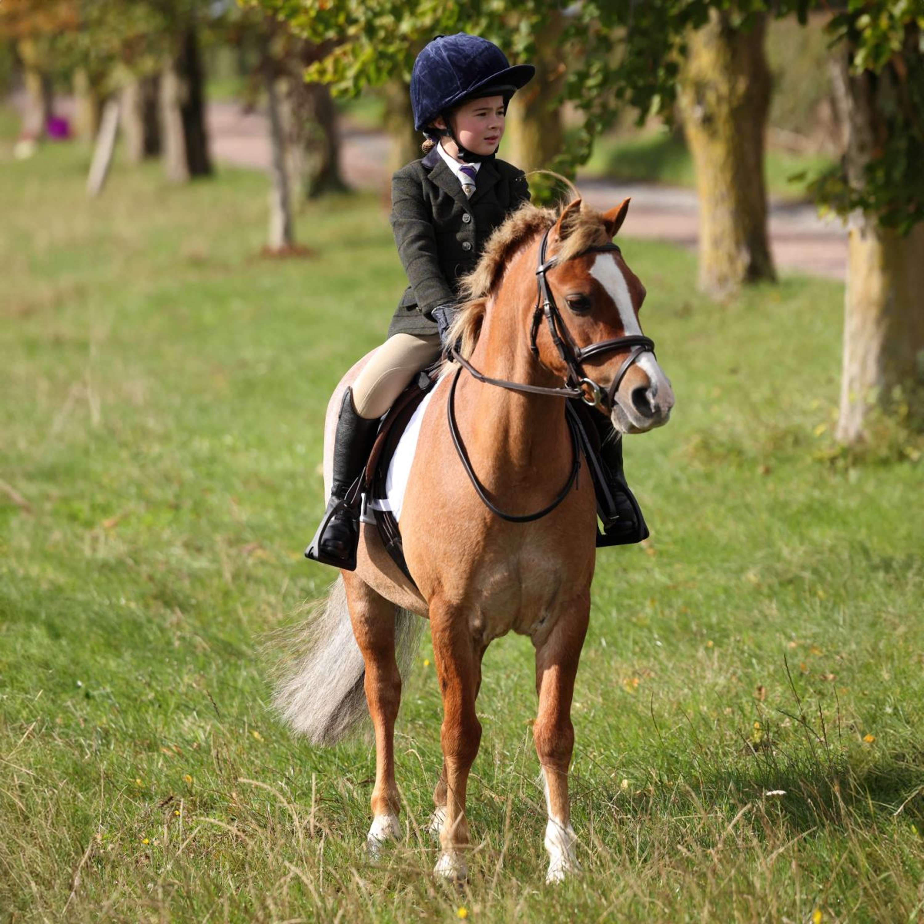 Aubrion by Shires Veste de Concours Saratoga Enfants Vert foncé Check - Image 9