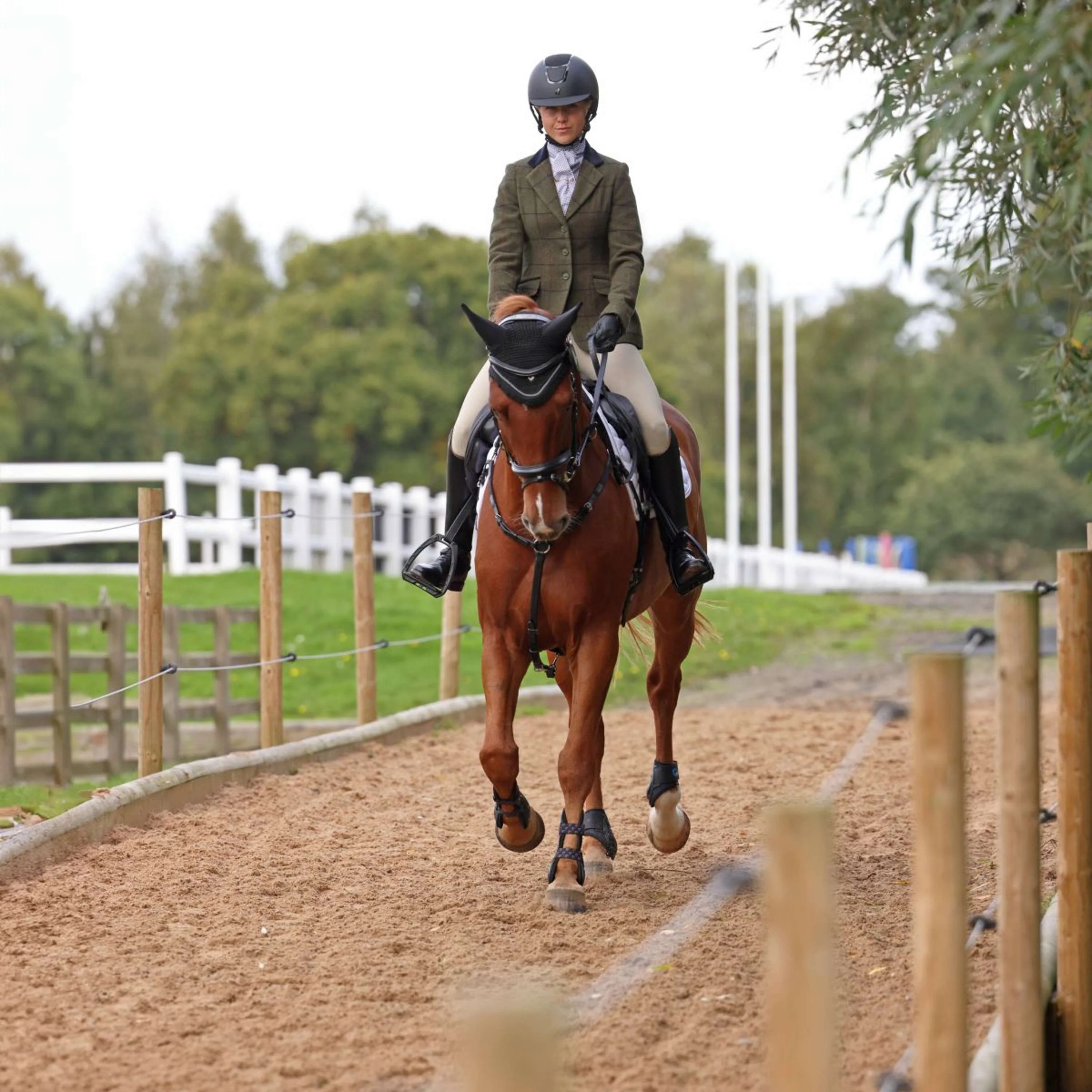 Aubrion by Shires Veste de Concours Saratoga Spruce Vert Check - Image 2