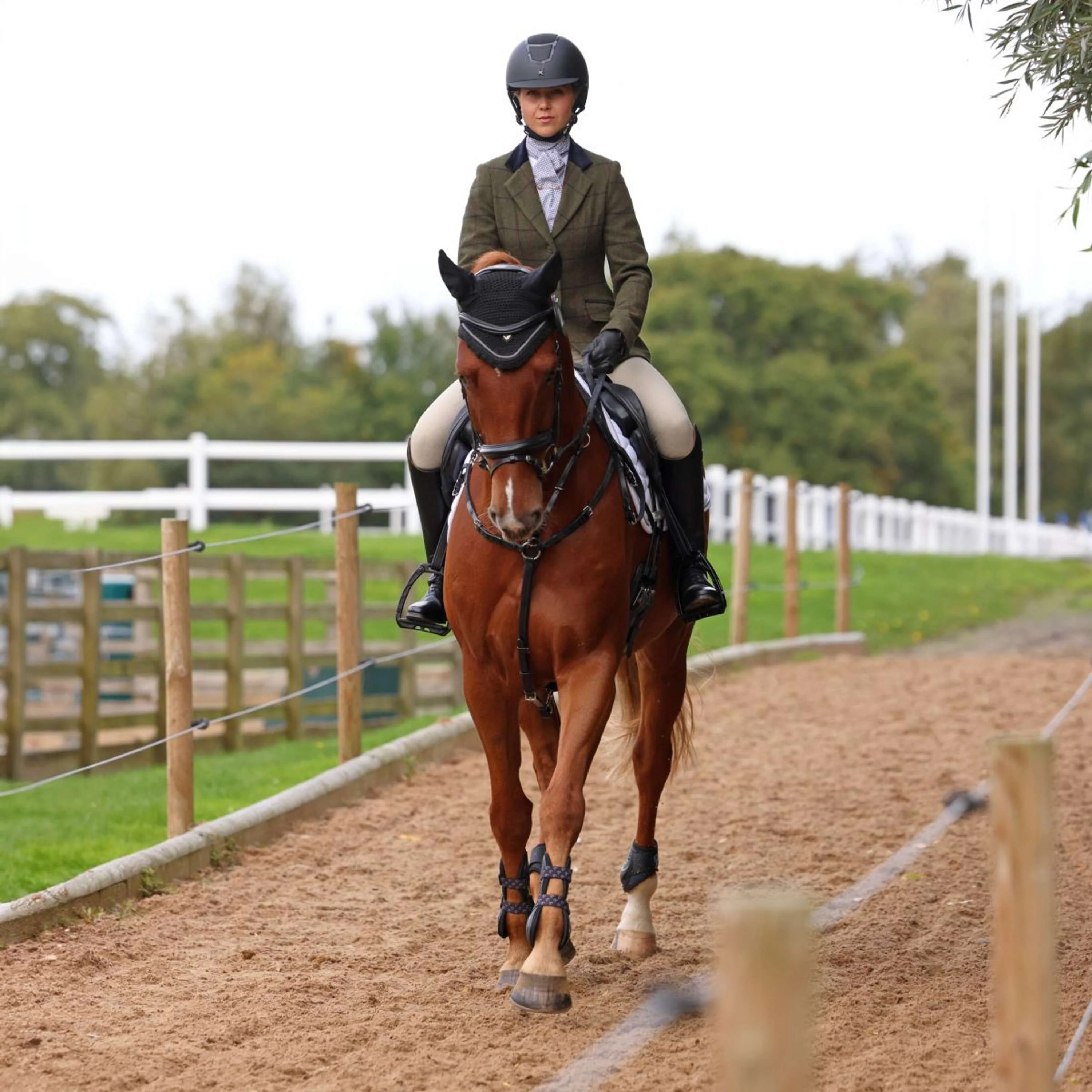Aubrion by Shires Veste de Concours Saratoga Spruce Vert Check - Image 3