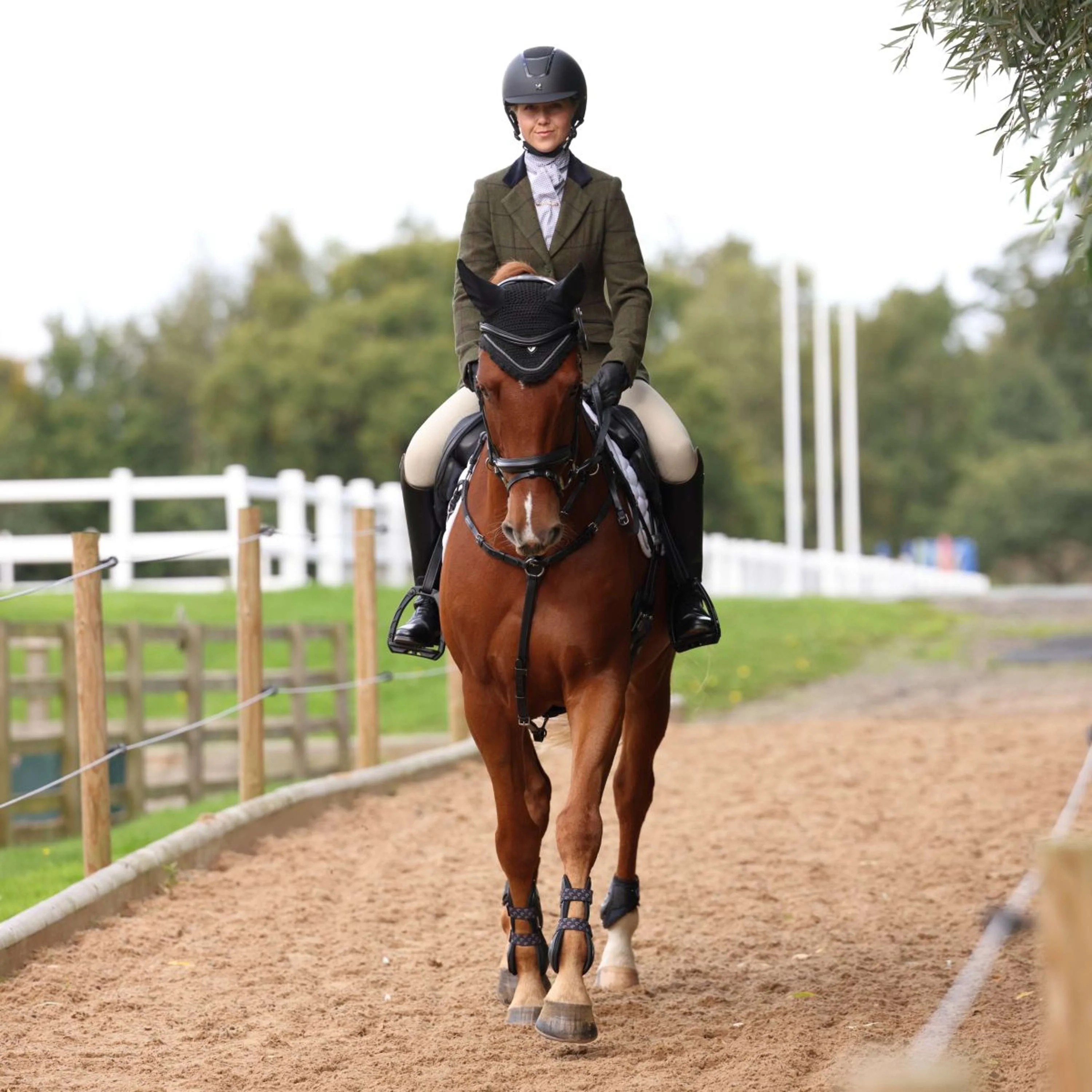 Aubrion by Shires Veste de Concours Saratoga Spruce Vert Check - Image 6