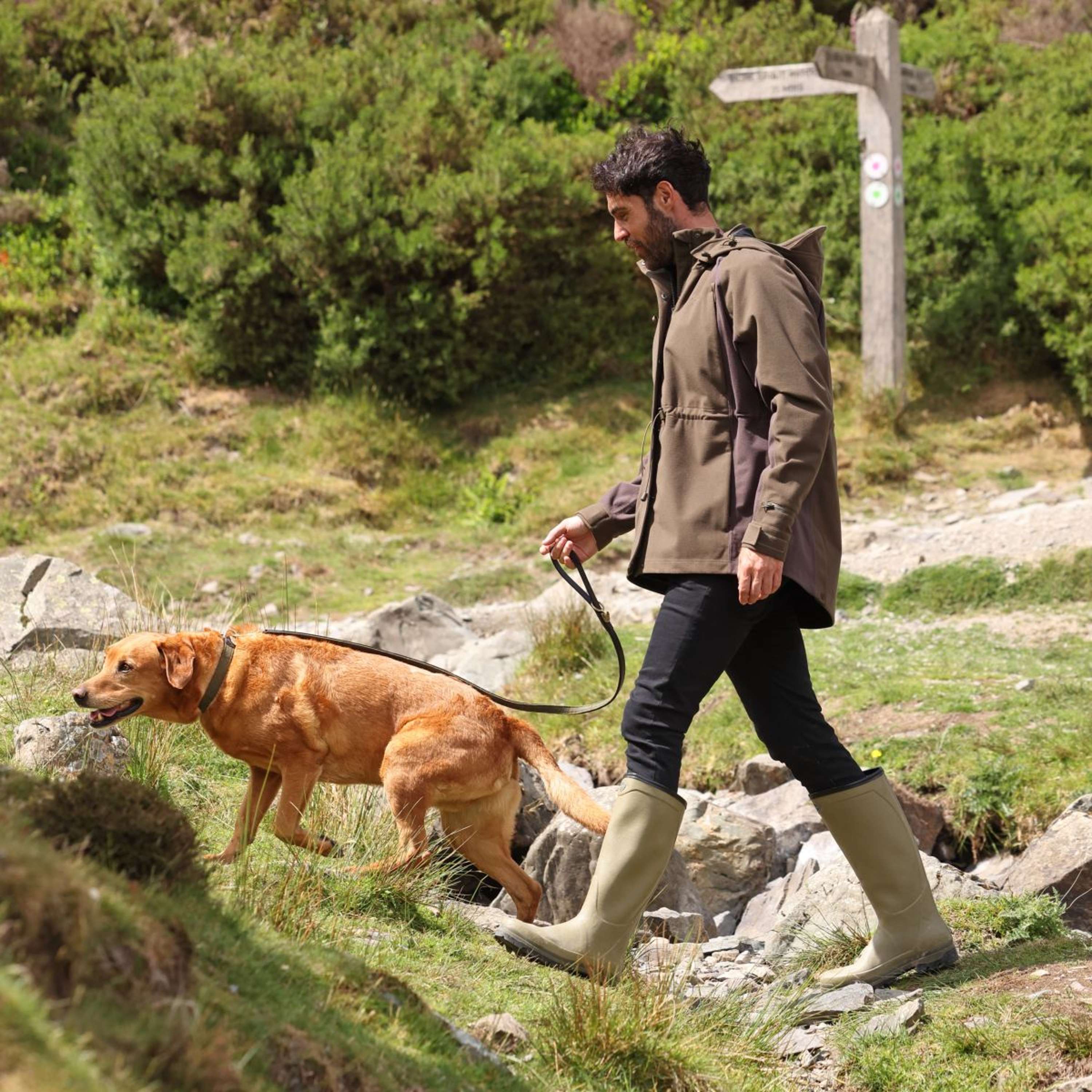 Aubrion by Shires Veste Heritage Olive foncé - Image 26