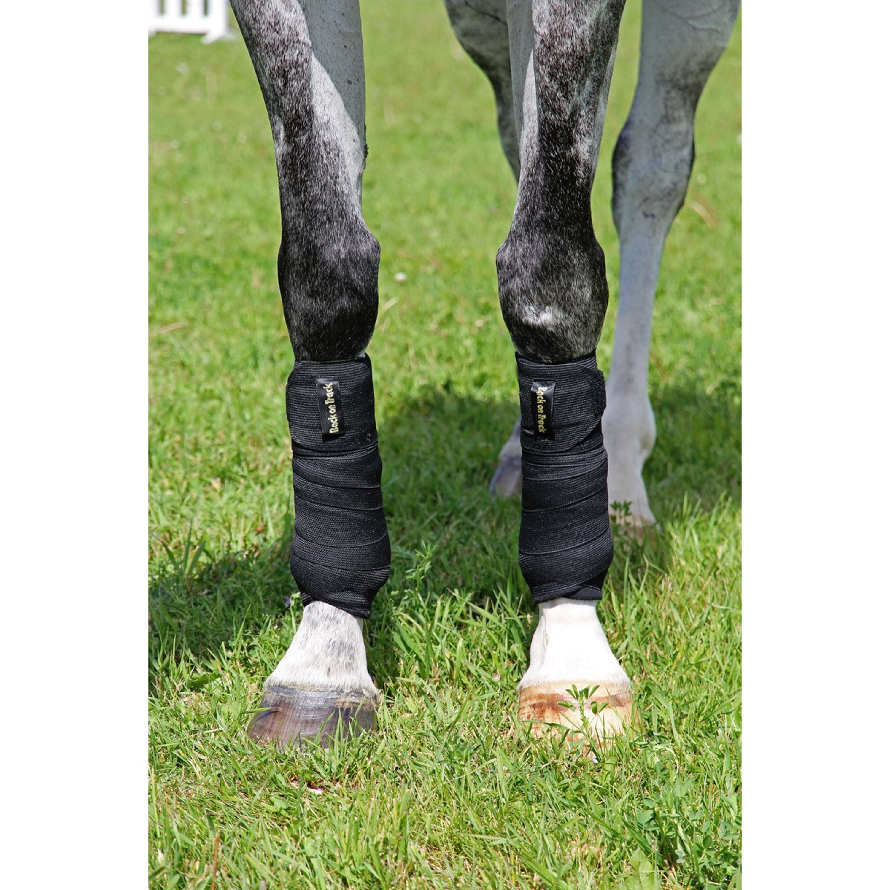 Back on Track Bandages Combi la Paire Noir - Image 3