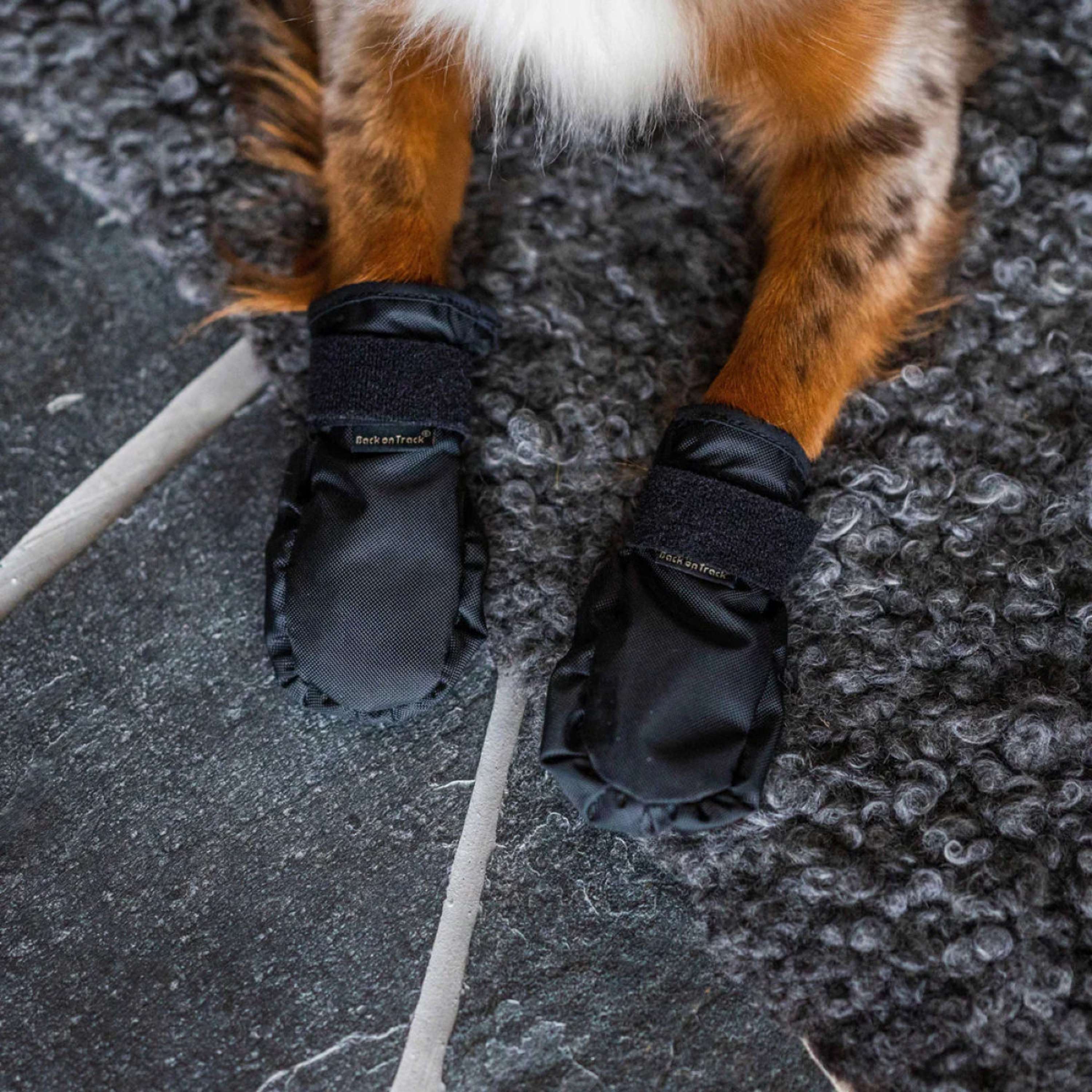 Back on Track Chaussures pour Chien Koda Noir - Image 6