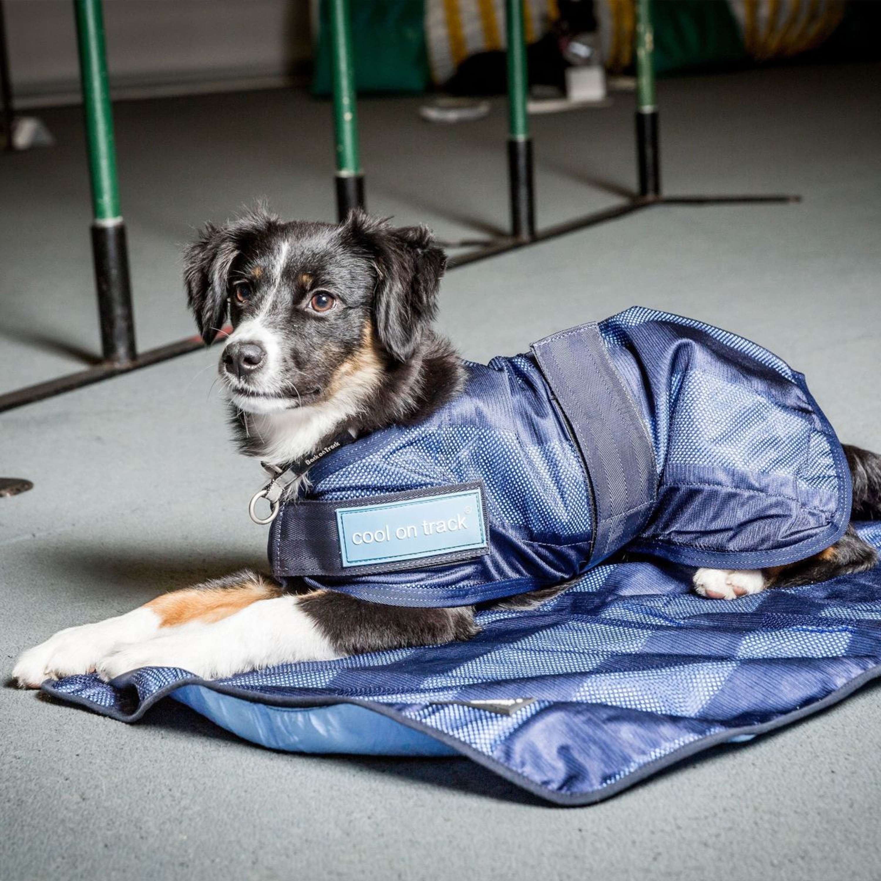 Back on Track Cooling Towel Bleu - Image 2