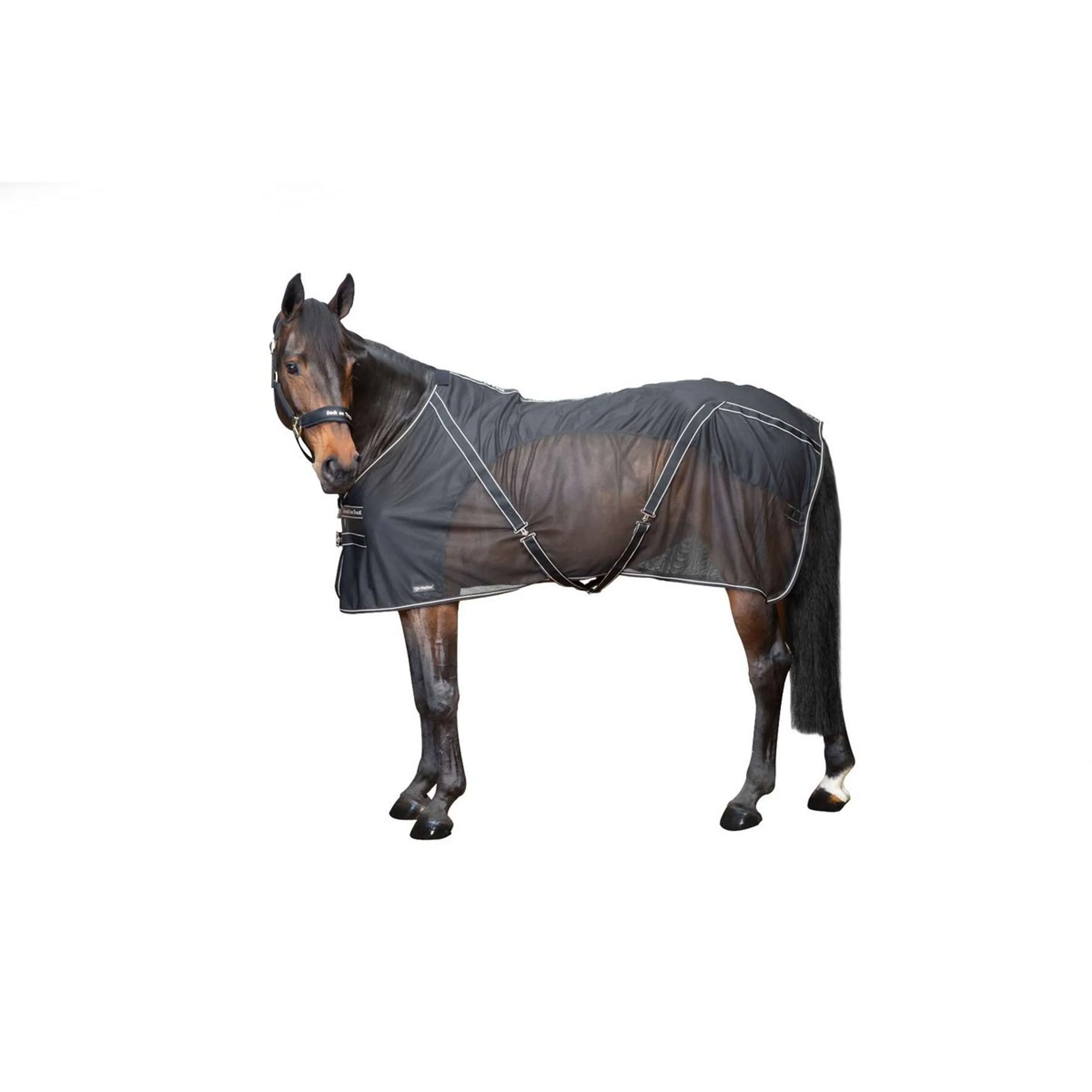 Back on Track Couverture Anti-Mouches Sienna Noir - Image 7