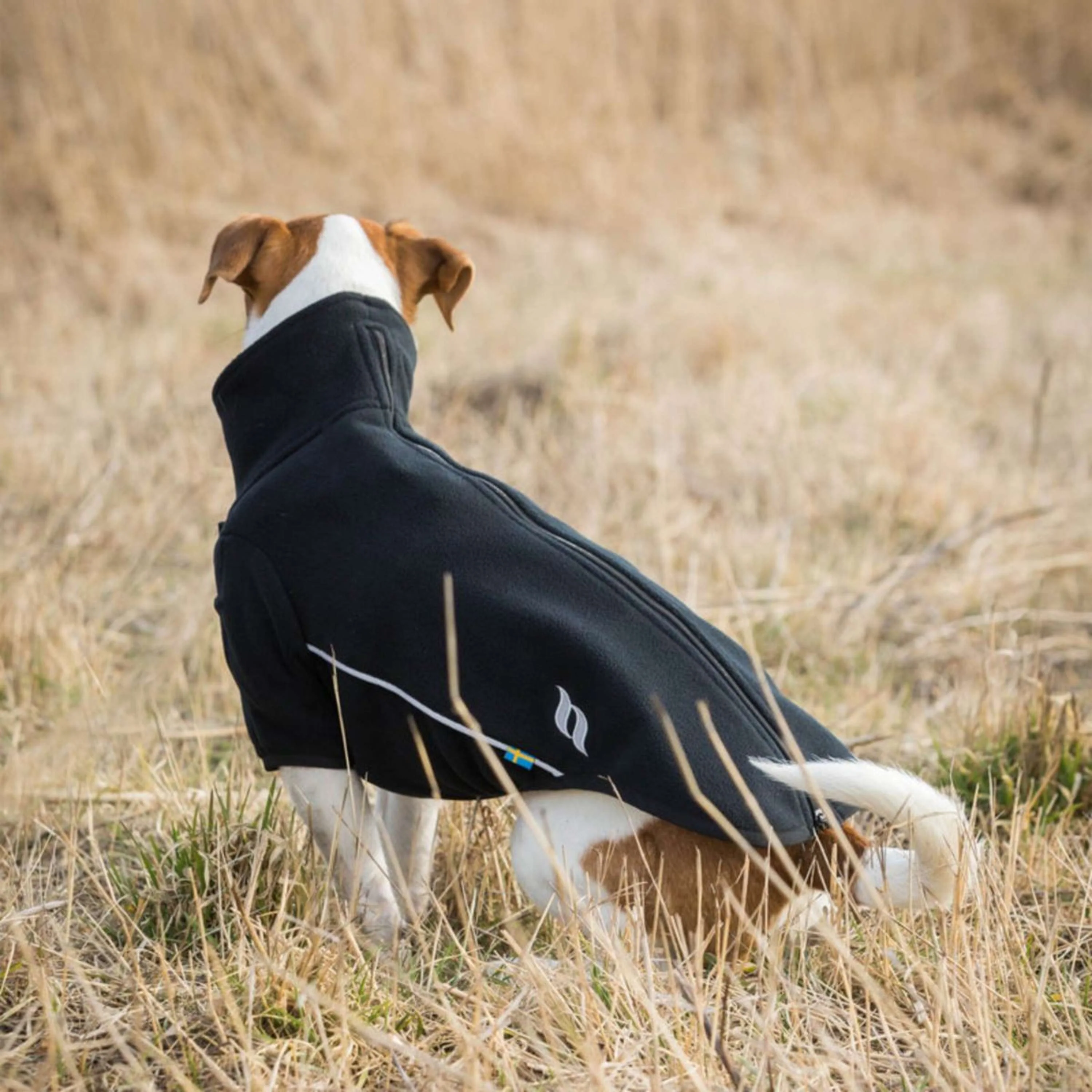 Back on Track Couverture pour Chien Cassie All-Weather Jumper Noir - Image 8