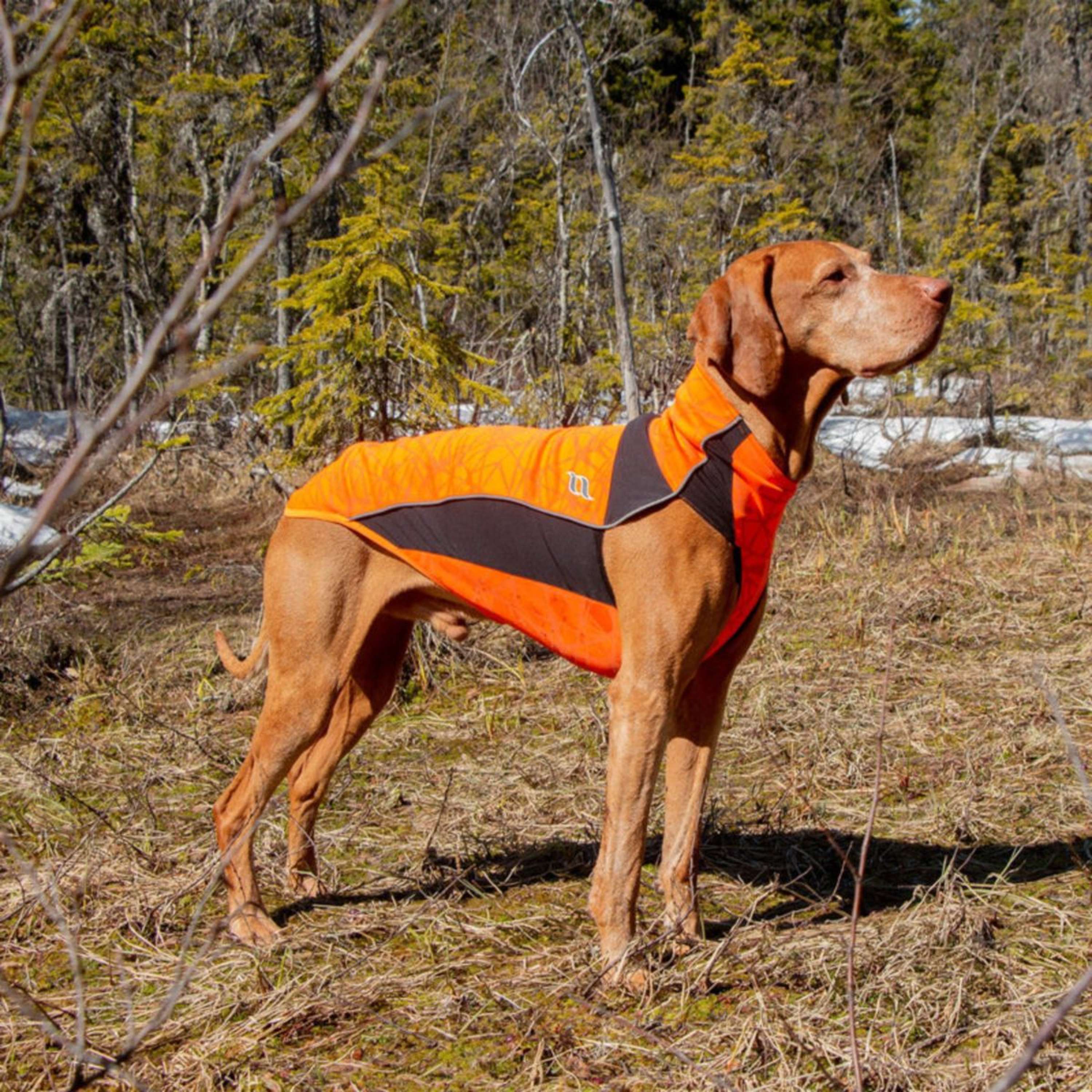 Back on Track Couverture pour Chien Eddie High Visibility Jumper Orange - Image 9