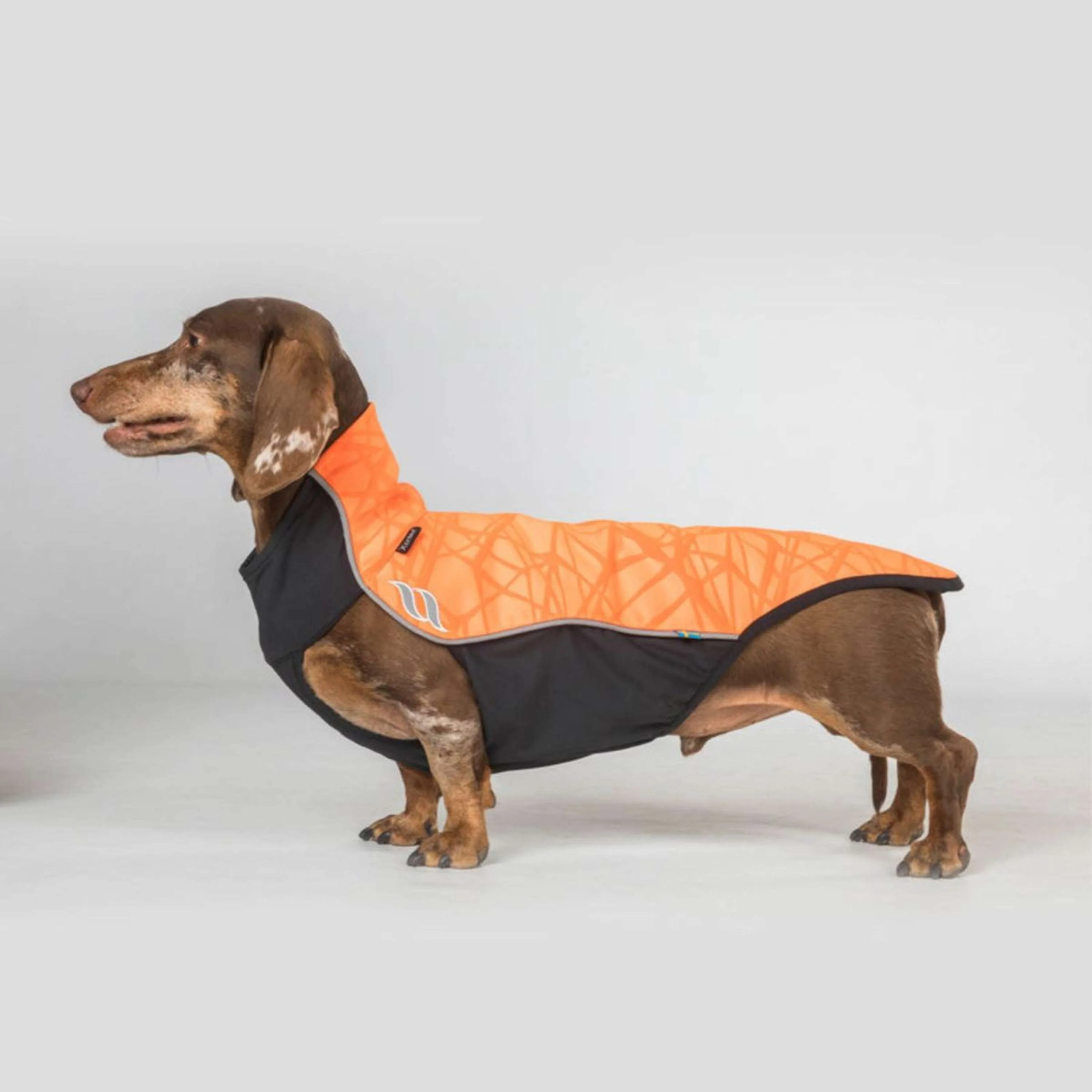 Back on Track Couverture pour Chien Eddie High Visibility Jumper Petite Orange - Image 2