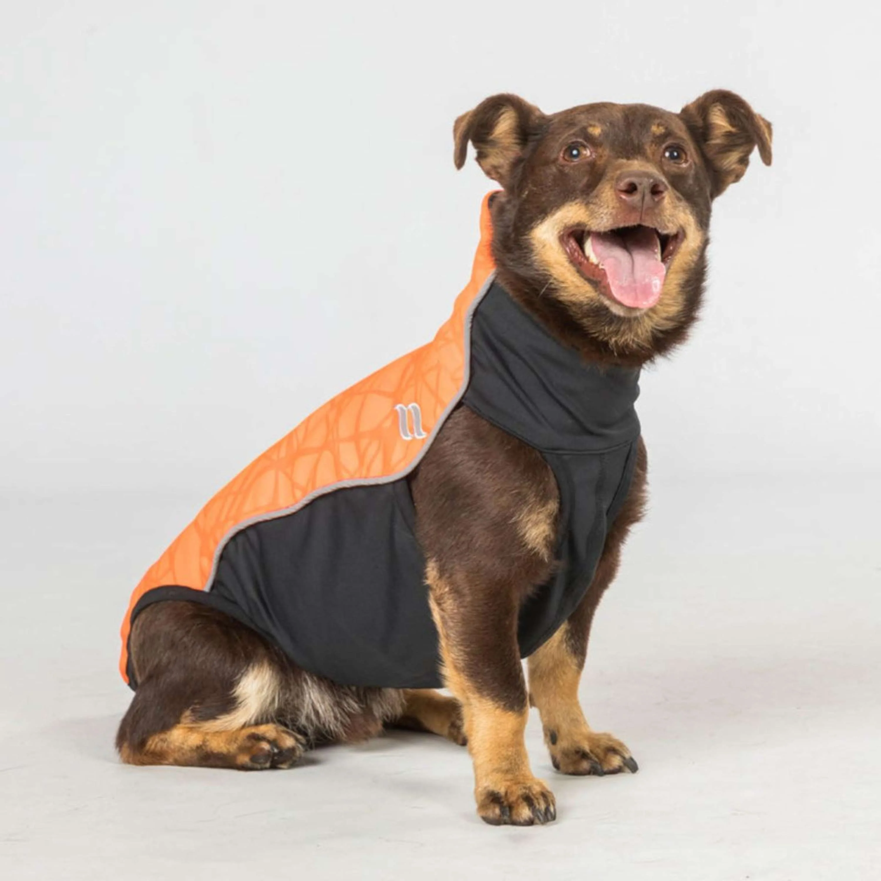 Back on Track Couverture pour Chien Eddie High Visibility Jumper Petite Orange - Image 3