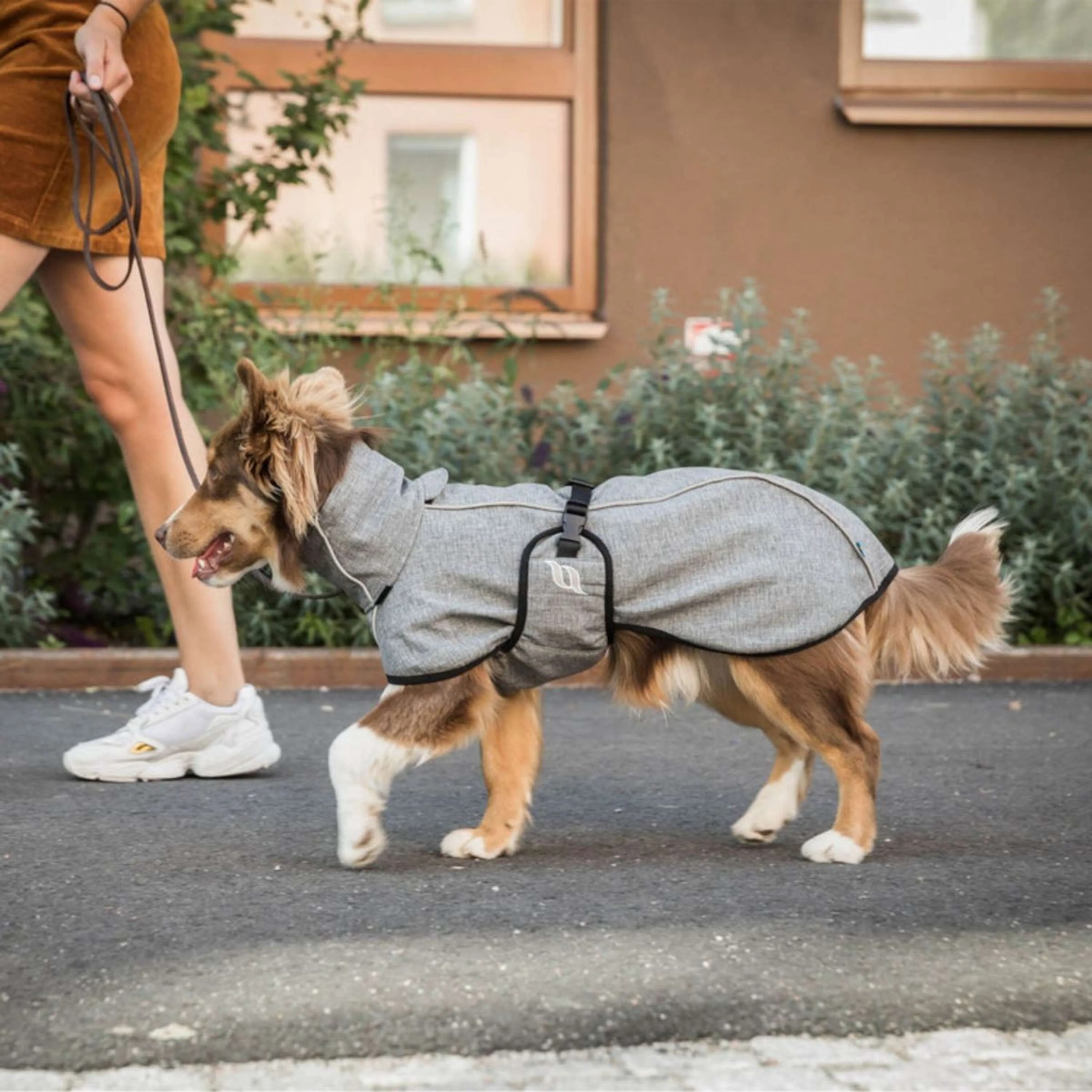 Back on Track Couverture pour Chien Nella All-Round Coat Gris - Image 10
