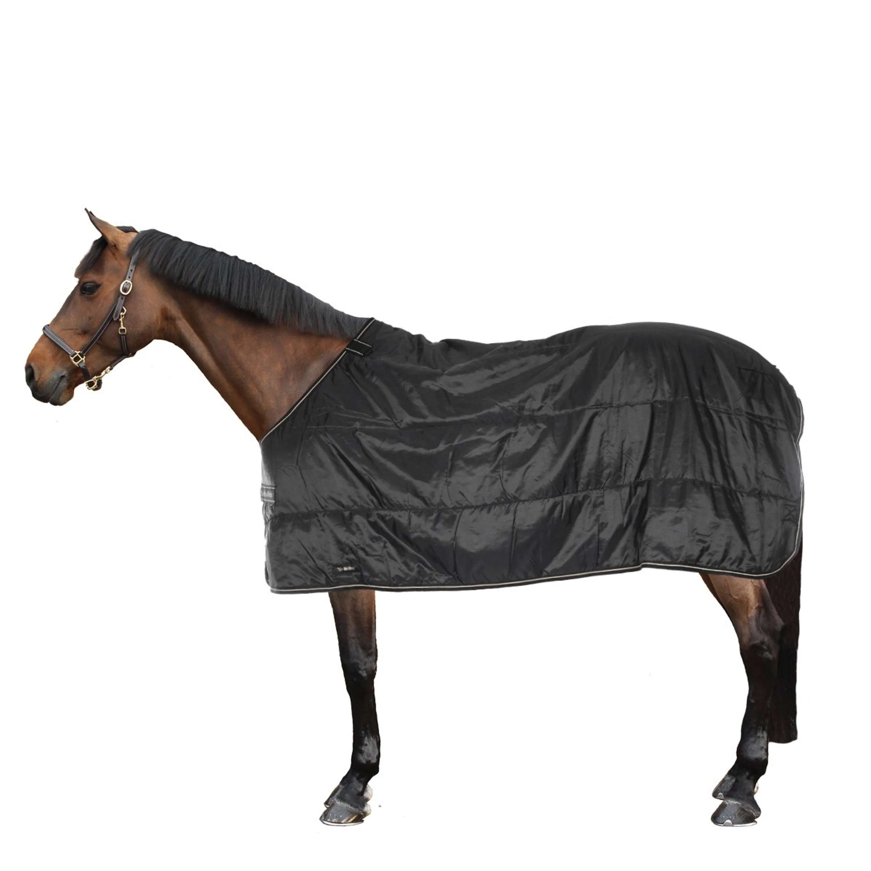 Back on Track Rhyolite Insulated Liner 100g Noir - Image 2