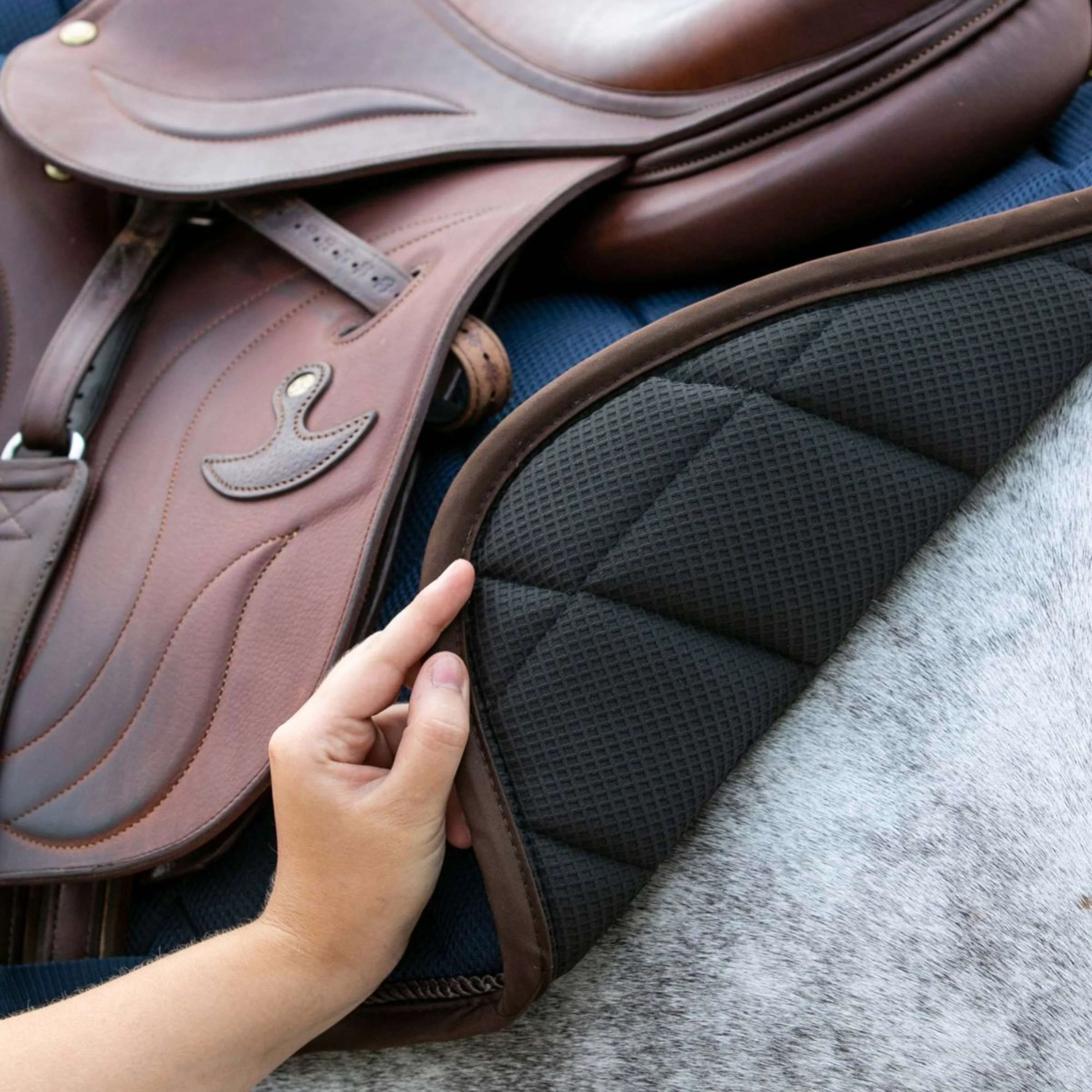 Back on Track Tapis de Selle AirFlow de Saut Bleu - Image 3